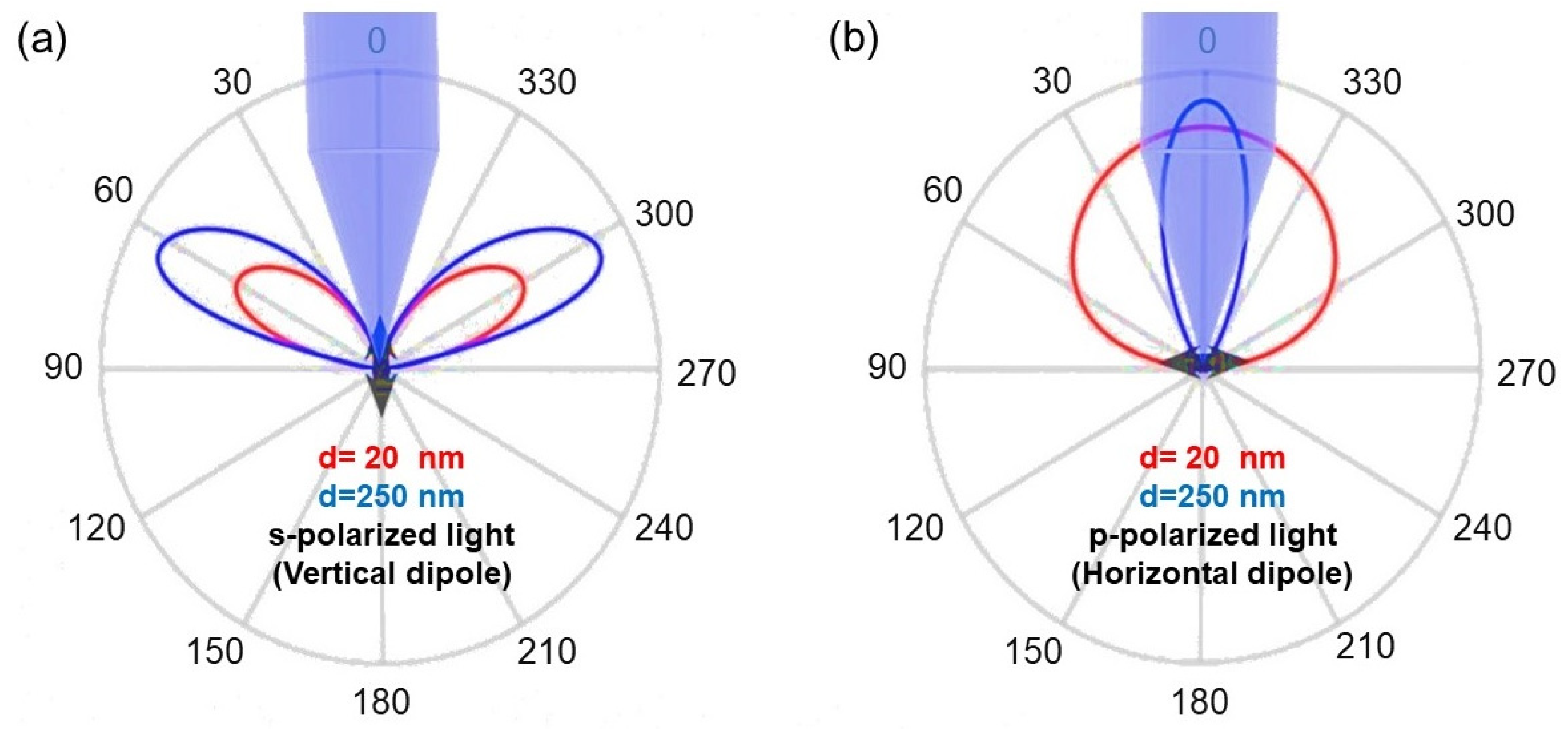 Nanomaterials 13 00011 g002