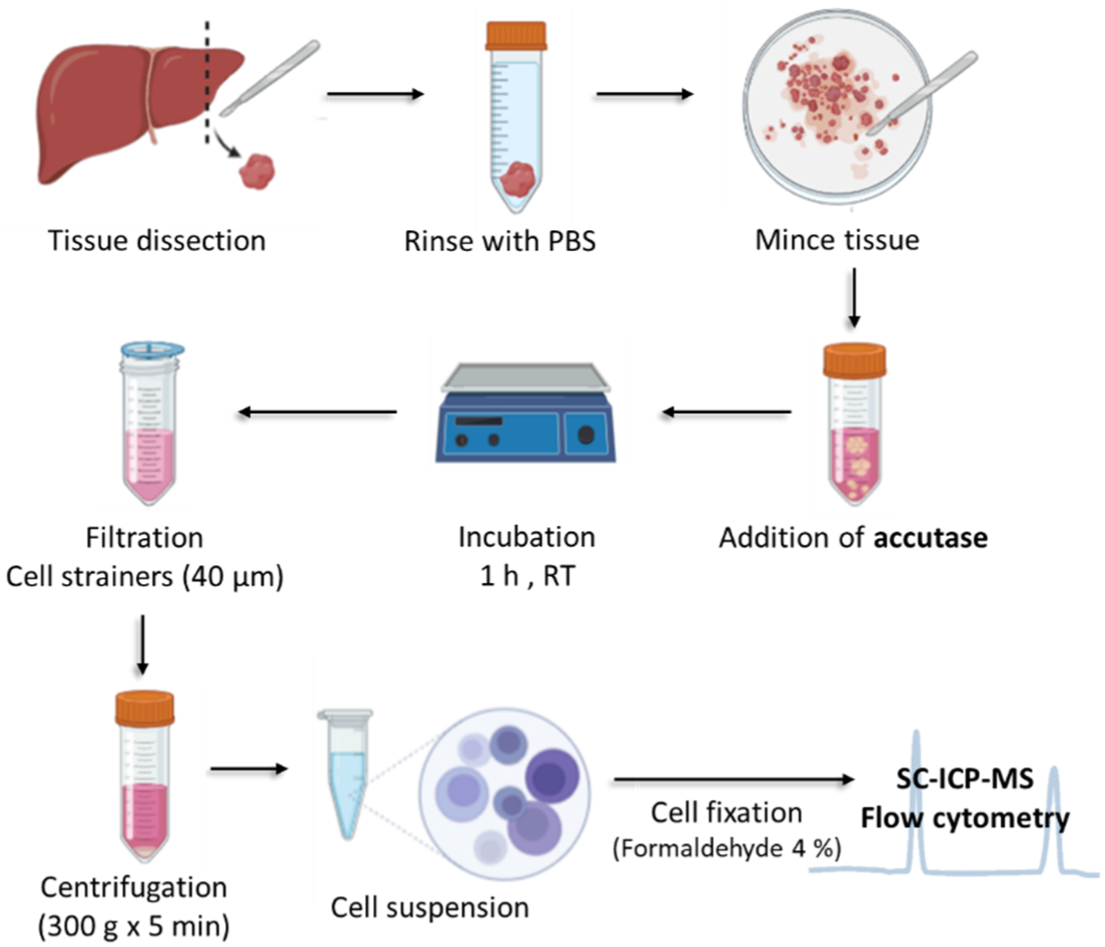 Nanomaterials 13 00012 g001