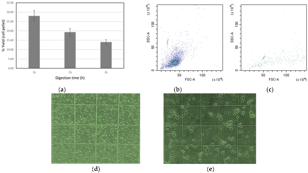 Nanomaterials 13 00012 g002