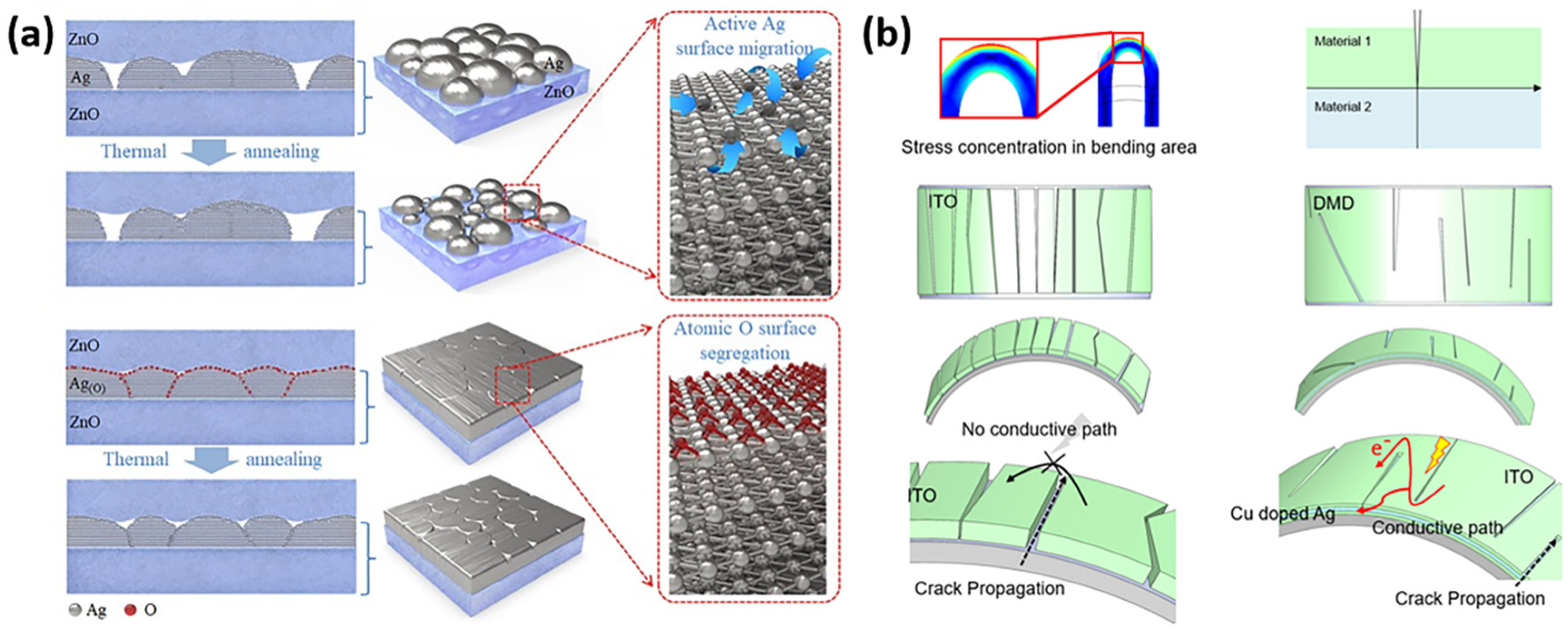 Nanomaterials 13 00025 g010