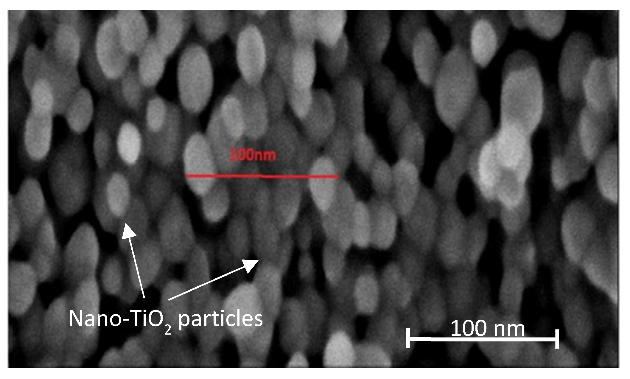 Nanomaterials 13 00031 g003