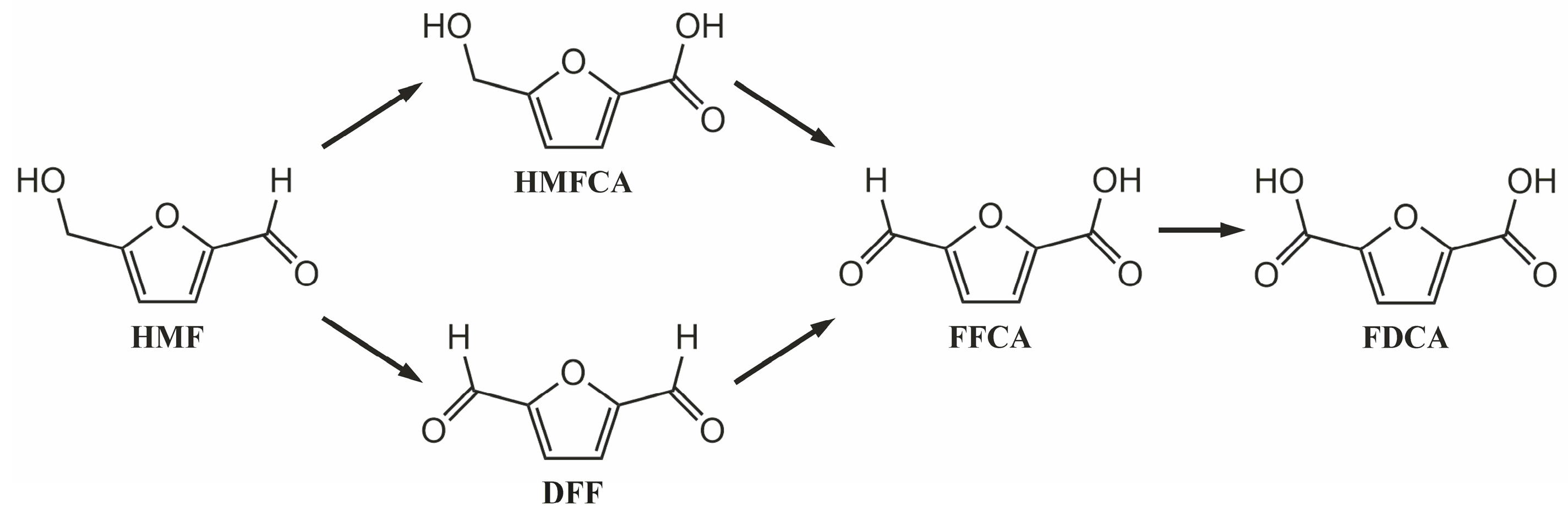 Nanomaterials 13 00044 sch001 Nanomaterials 13 00044 sch001
