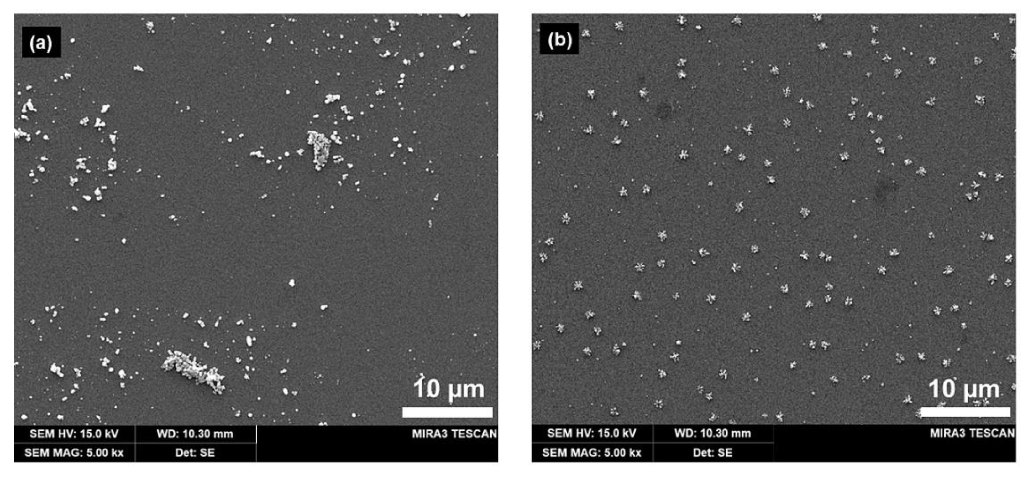 Nanomaterials 13 00048 g004