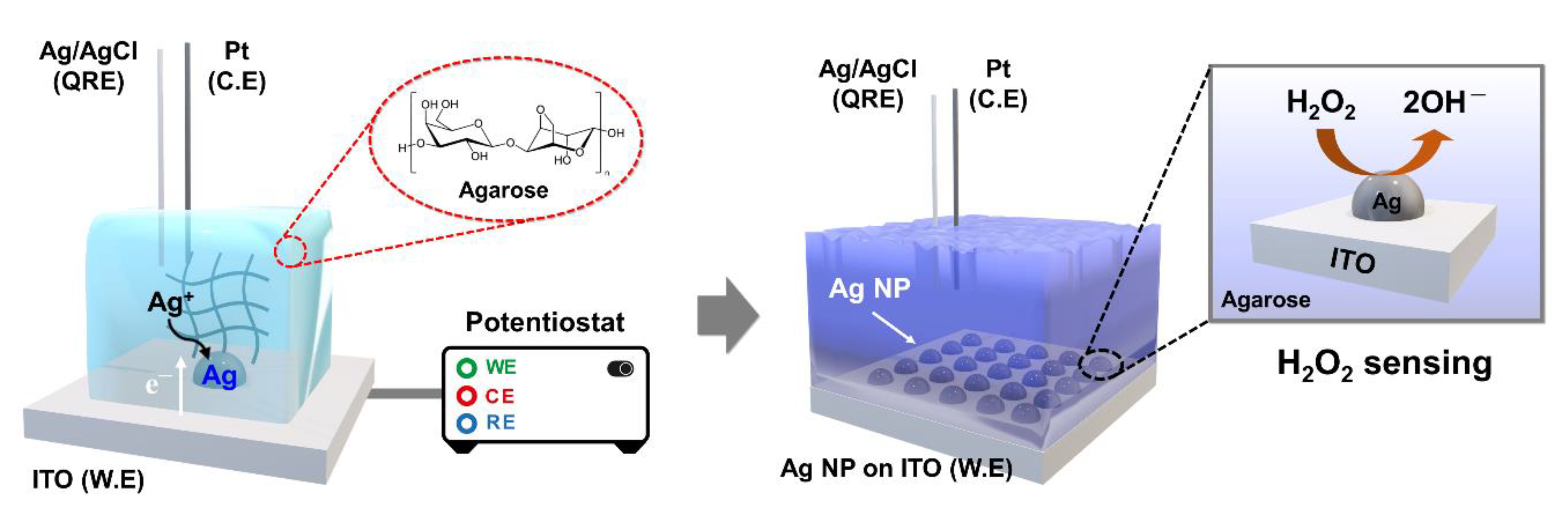Nanomaterials 13 00048 sch001