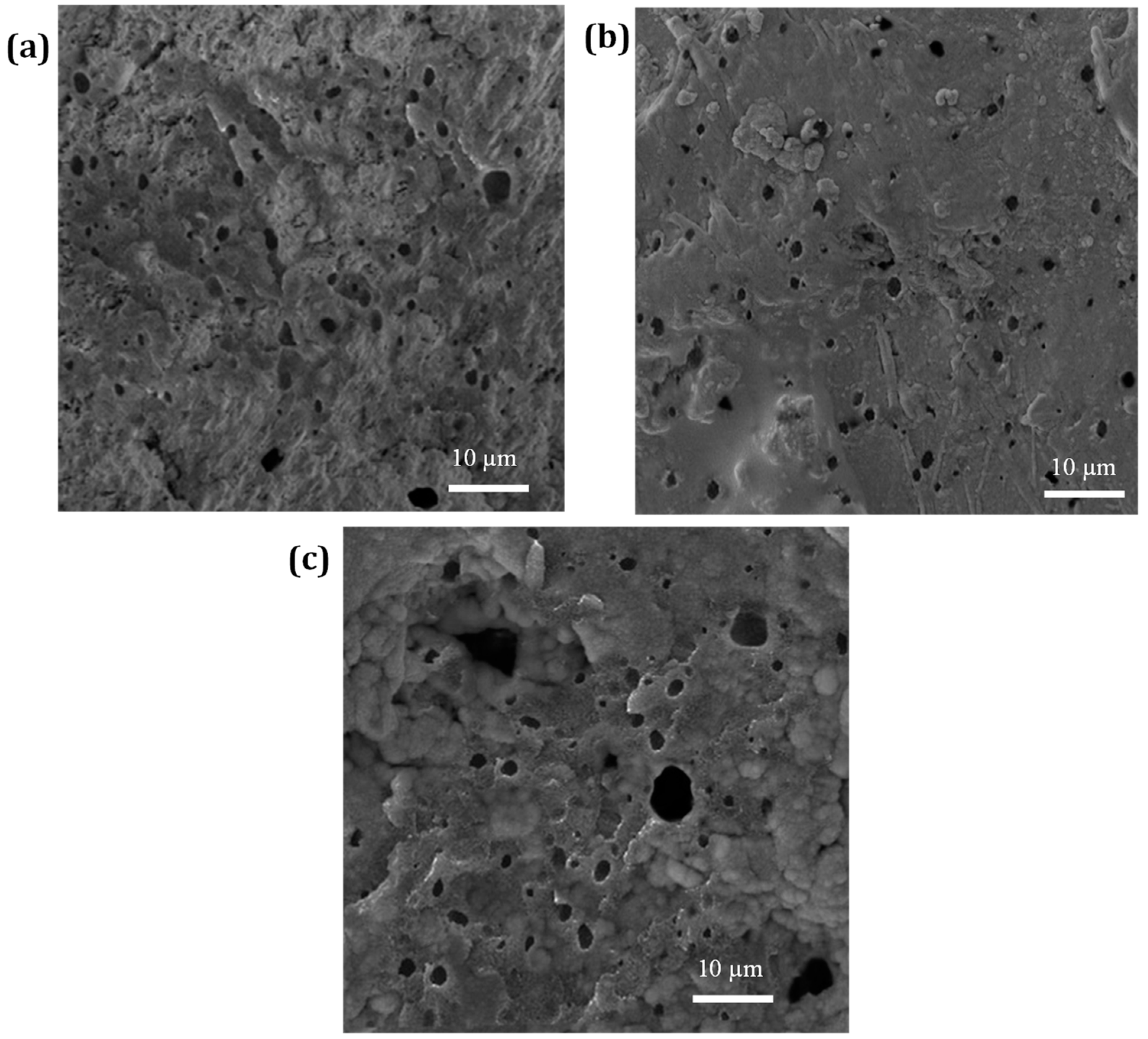 Nanomaterials 13 00049 g002