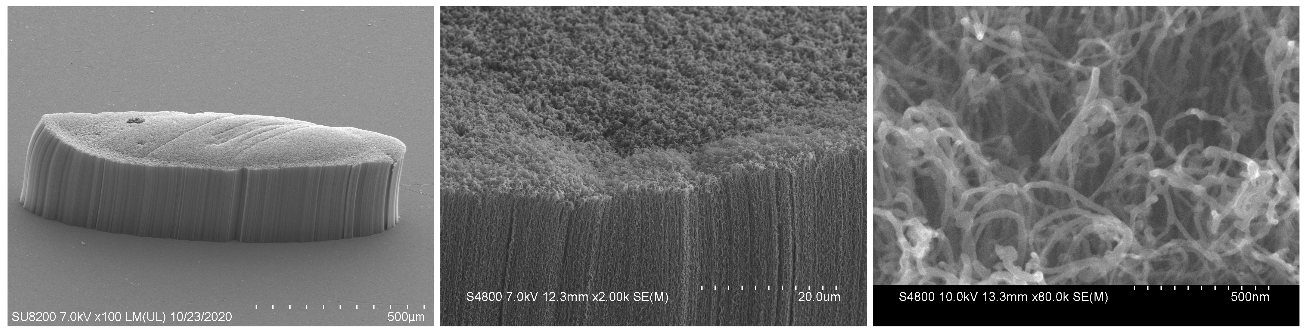 Nanomaterials 13 00050 g010