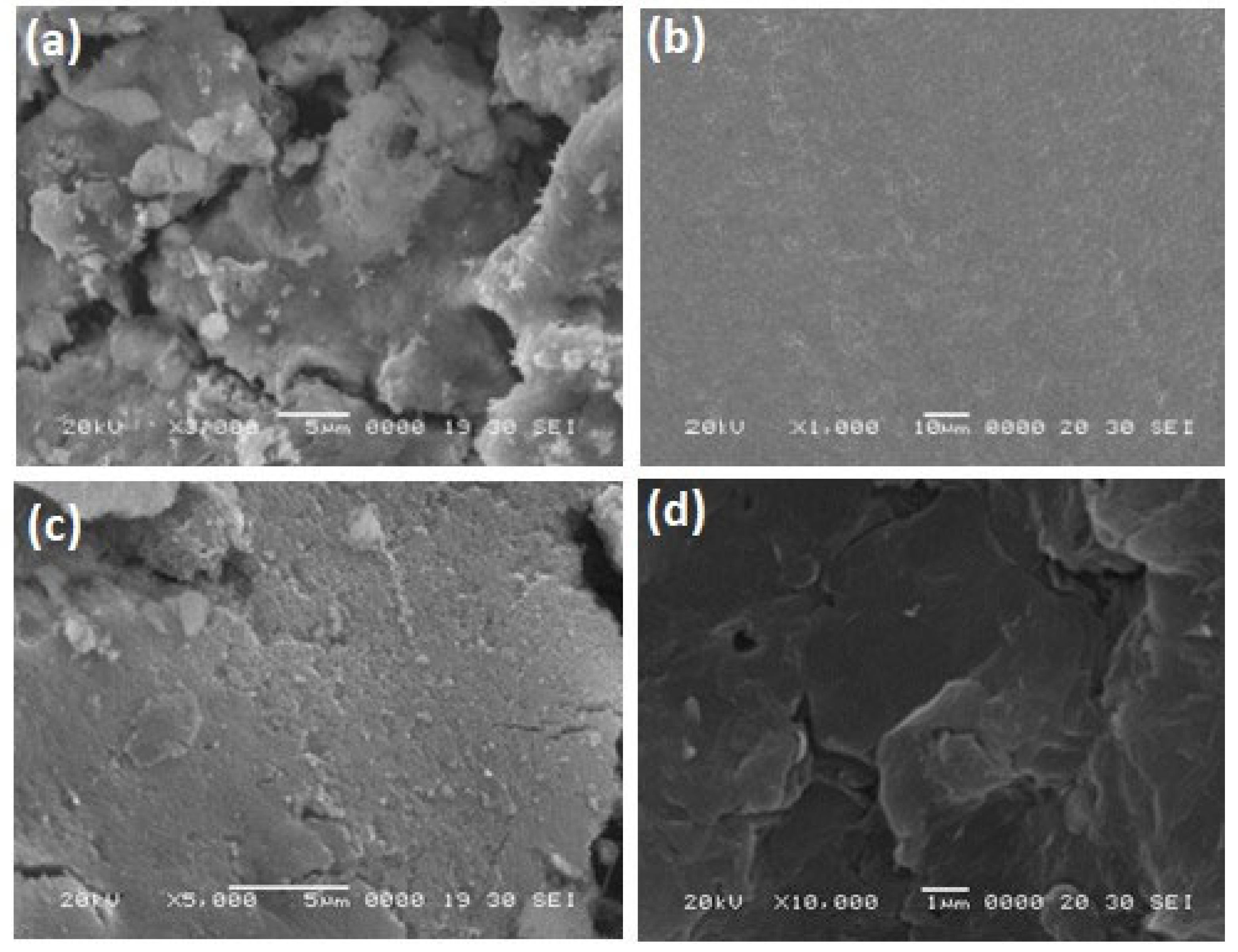 Nanomaterials 13 00055 g002