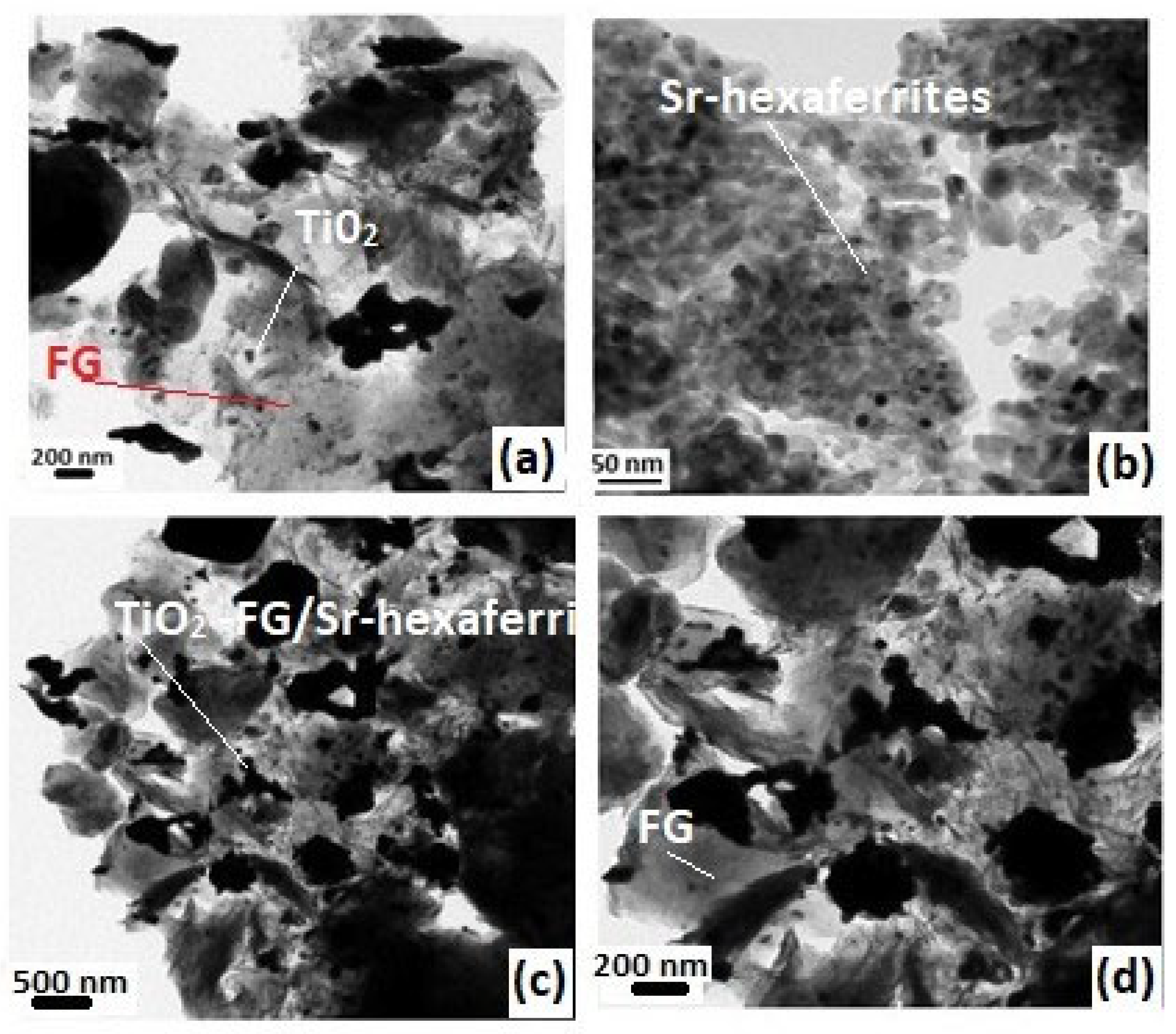 Nanomaterials 13 00055 g004