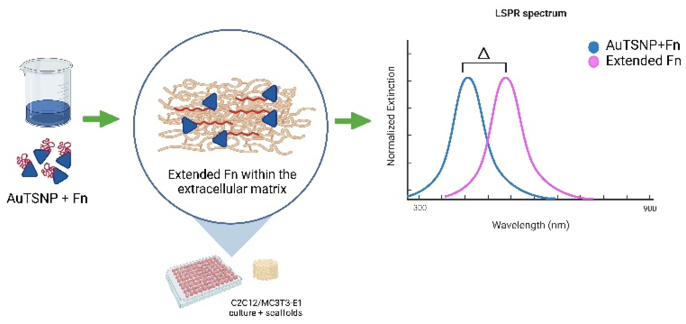 Nanomaterials 13 00057 g001