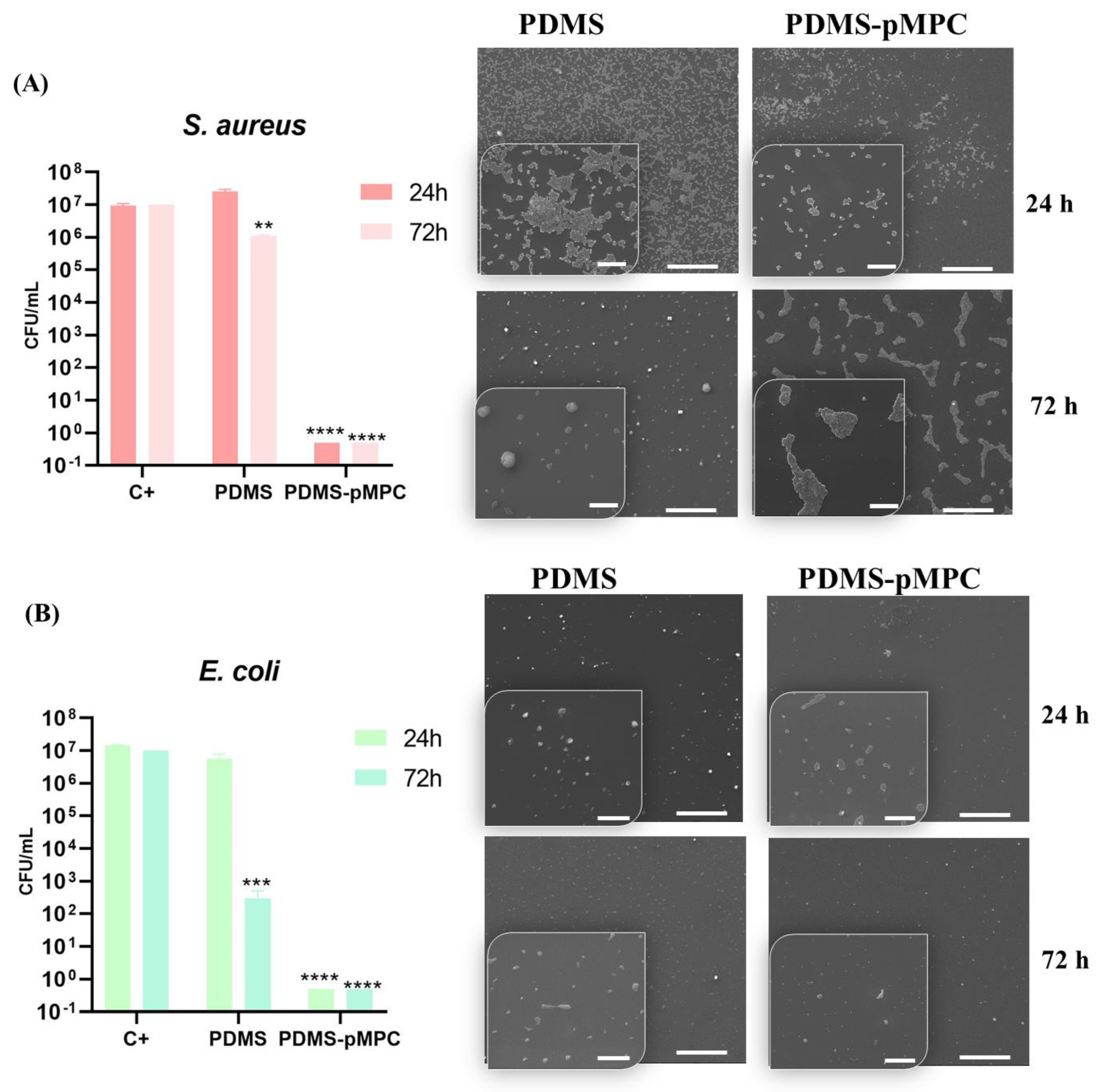 Nanomaterials 13 00064 g009