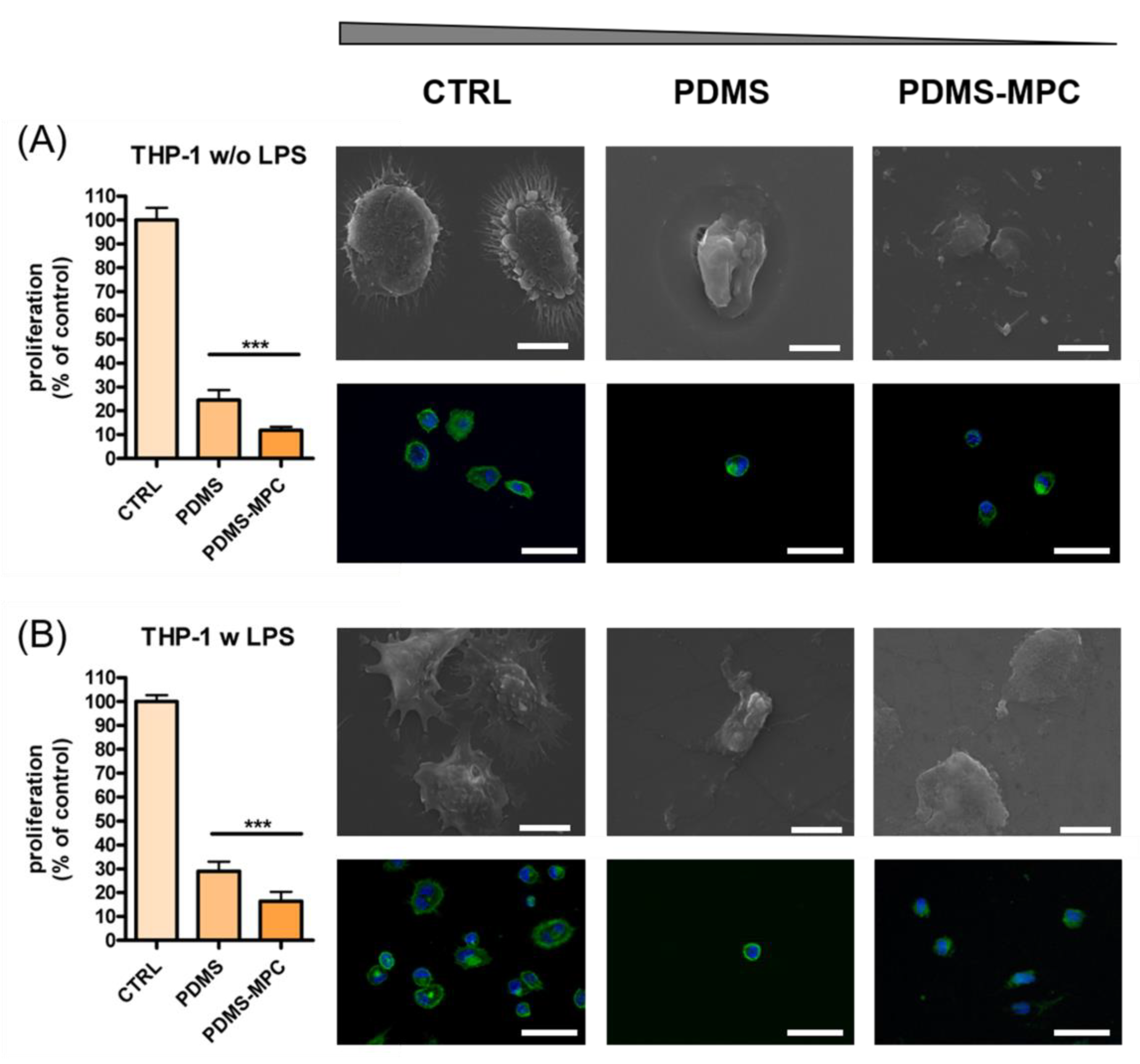 Nanomaterials 13 00064 g010