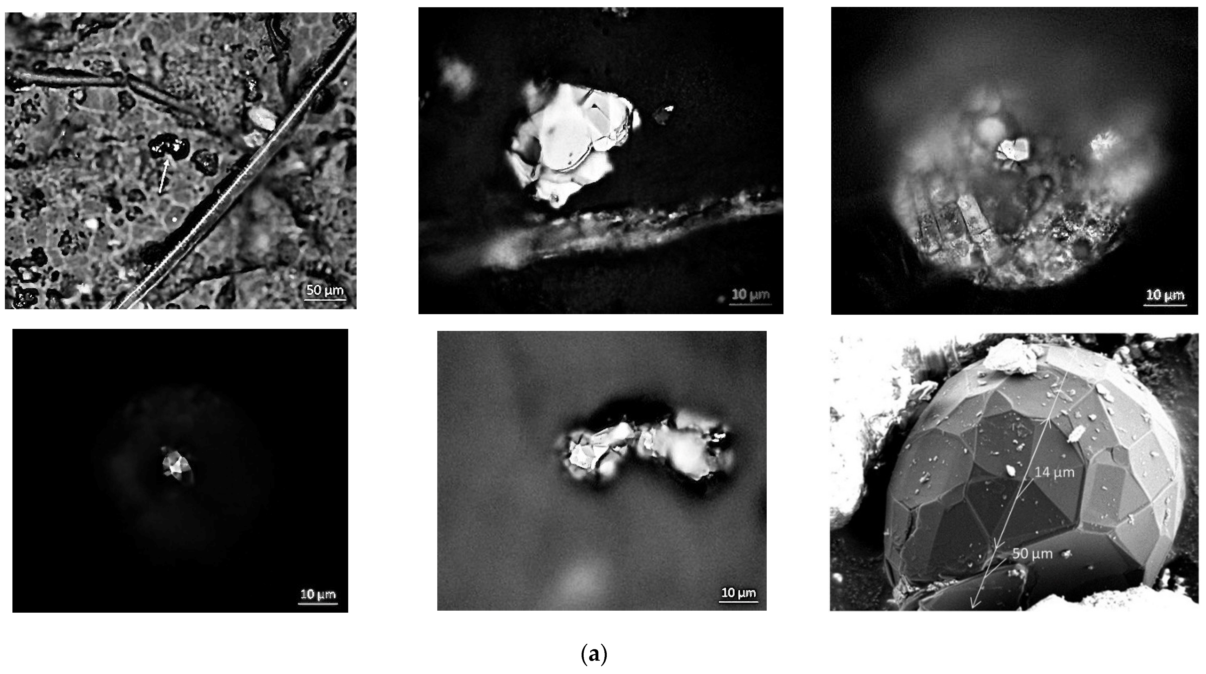 Nanomaterials 13 00073 g002a Nanomaterials 13 00073 g002a