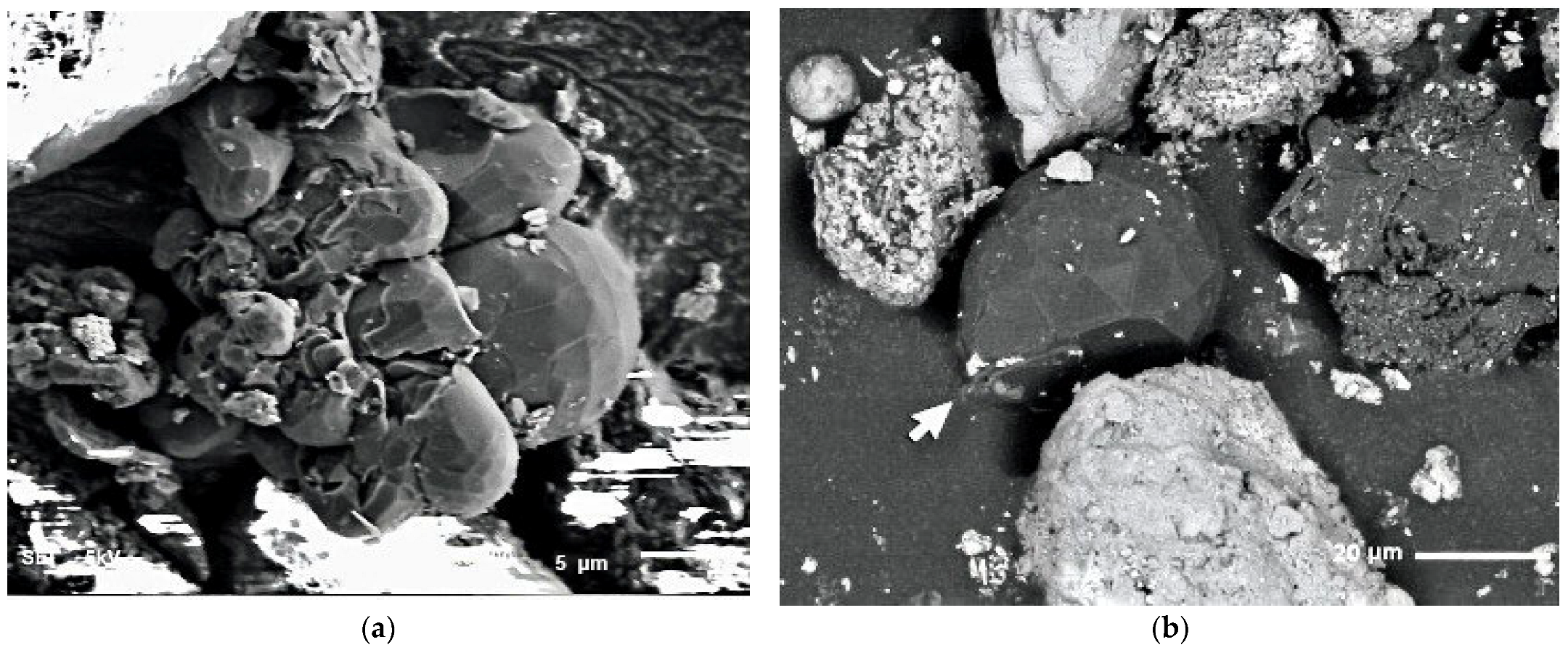 Nanomaterials 13 00073 g003 Nanomaterials 13 00073 g003