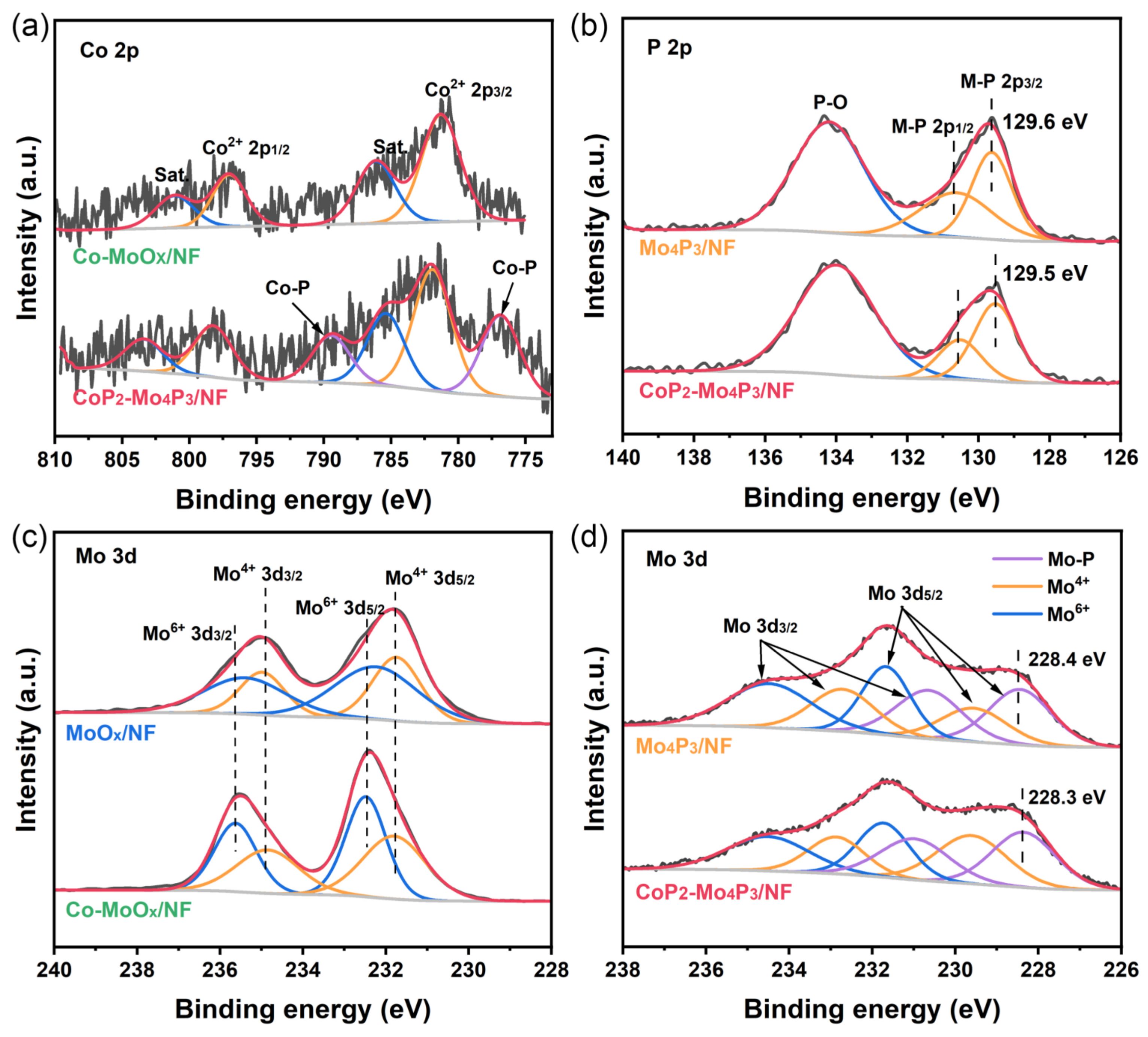 Nanomaterials 13 00074 g002