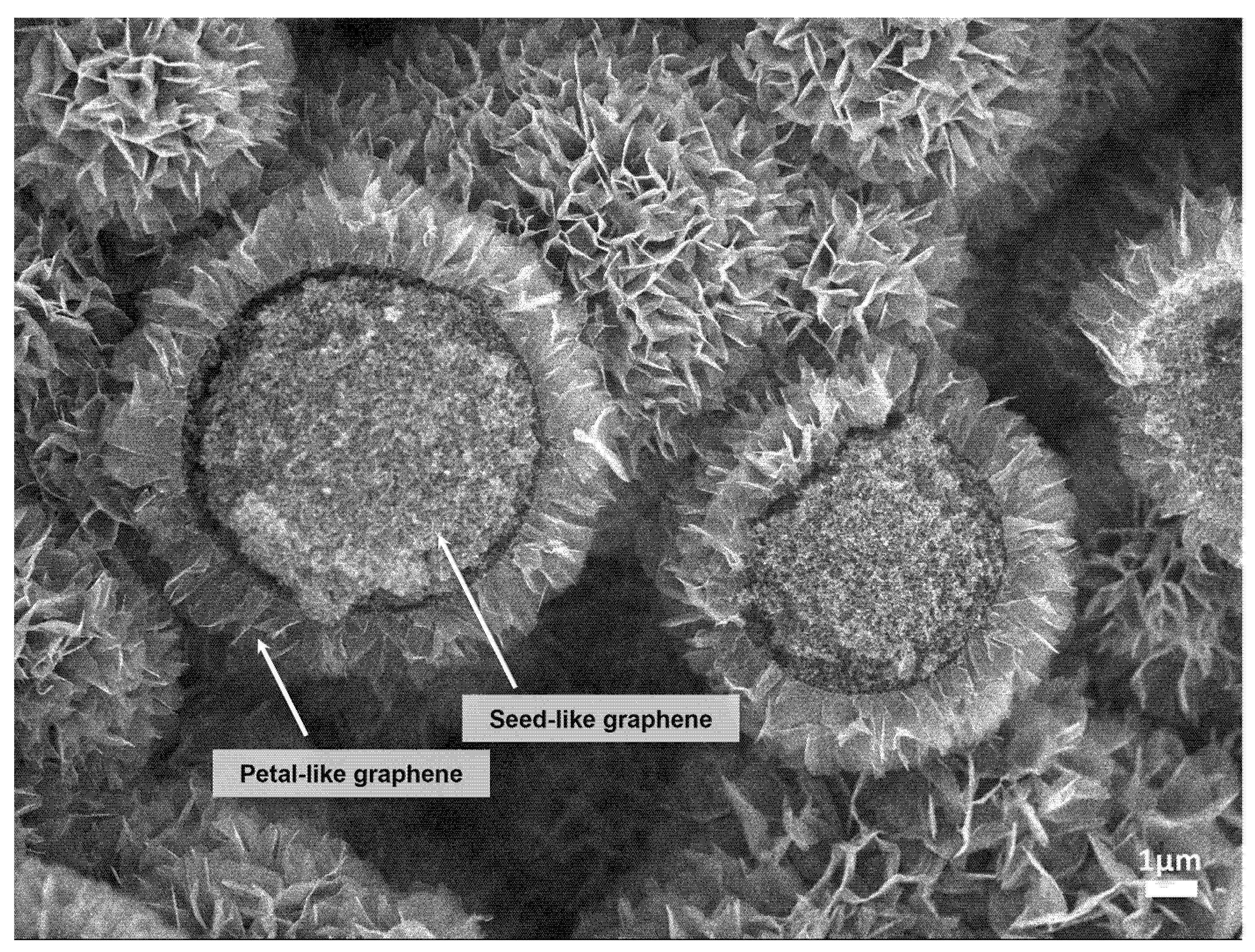 Nanomaterials 13 00076 g001 Nanomaterials 13 00076 g001