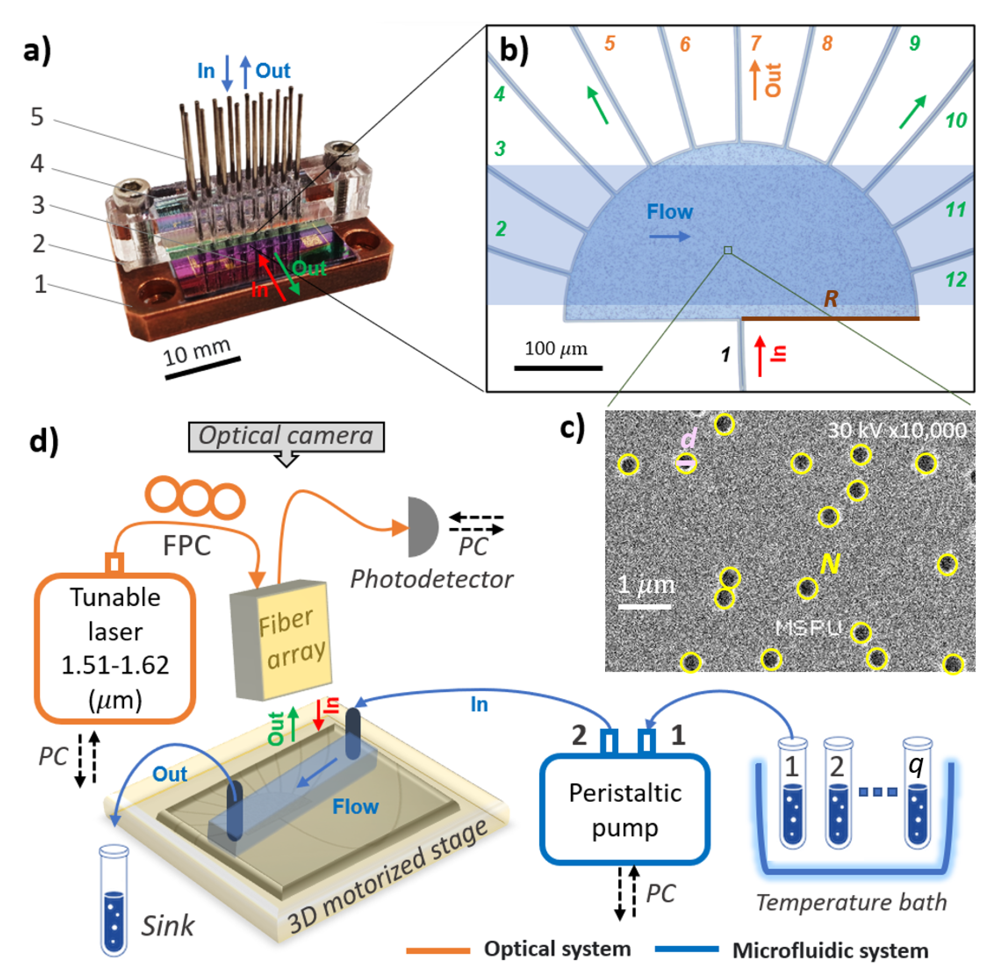Nanomaterials 13 00081 g001