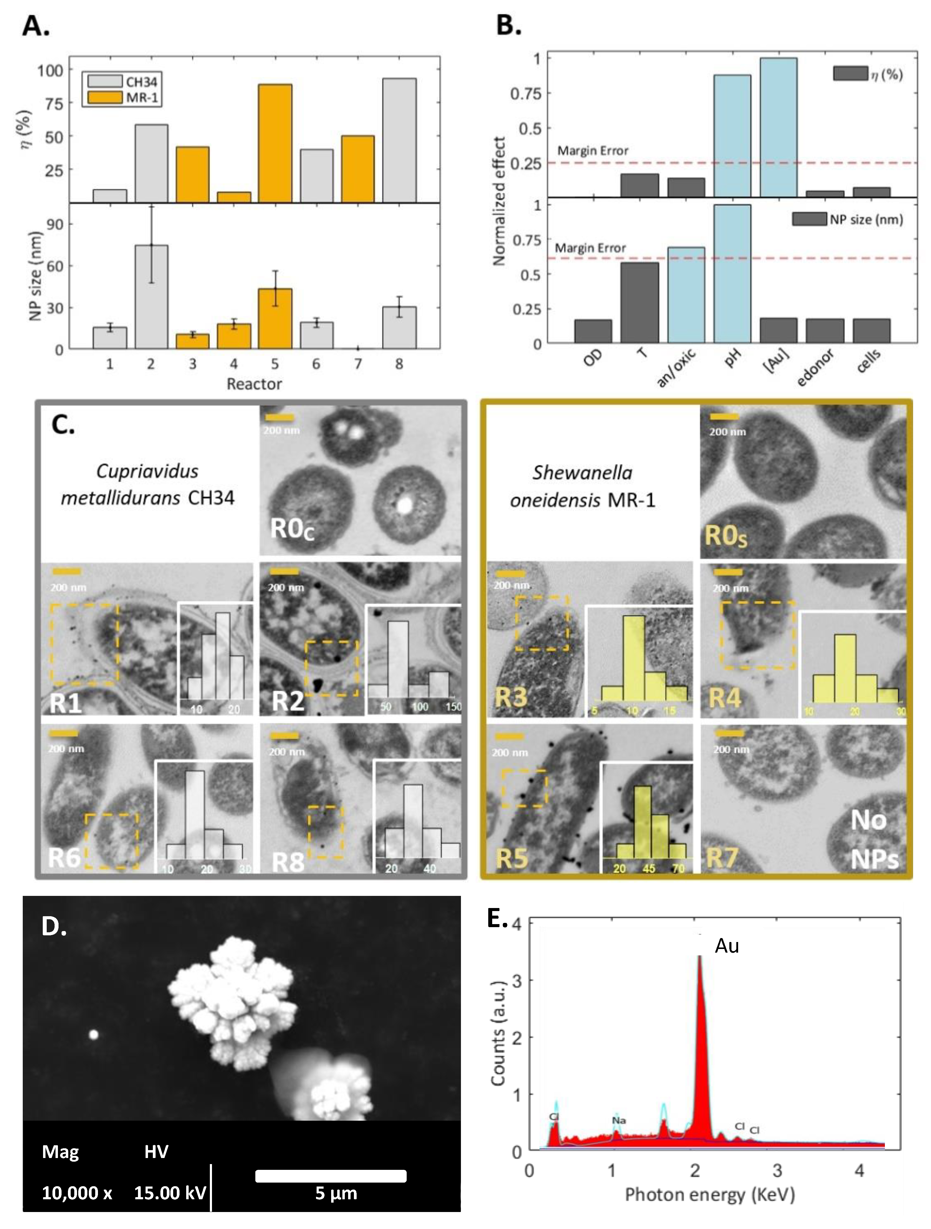 Nanomaterials 13 00083 g001 Nanomaterials 13 00083 g001