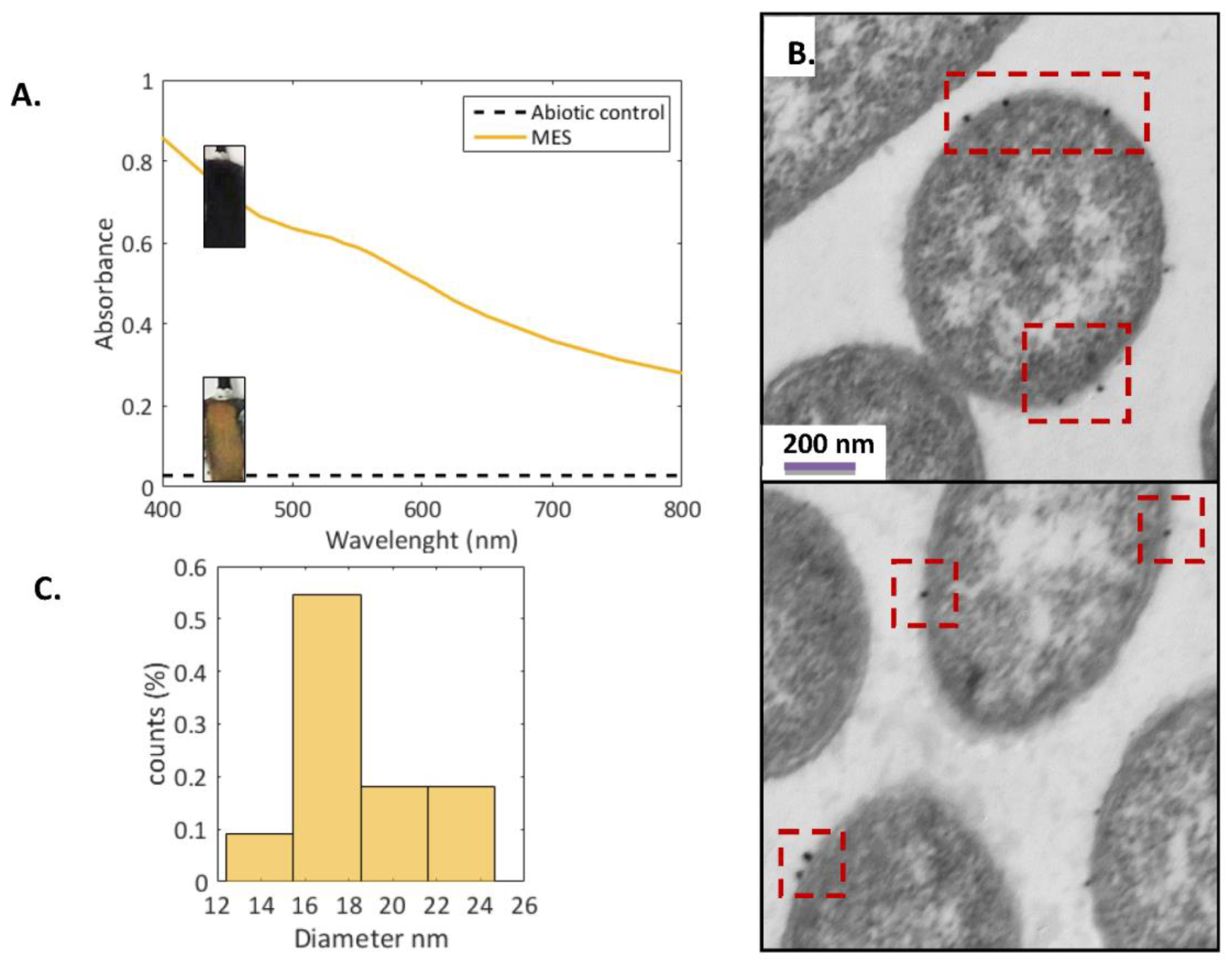 Nanomaterials 13 00083 g004 Nanomaterials 13 00083 g004