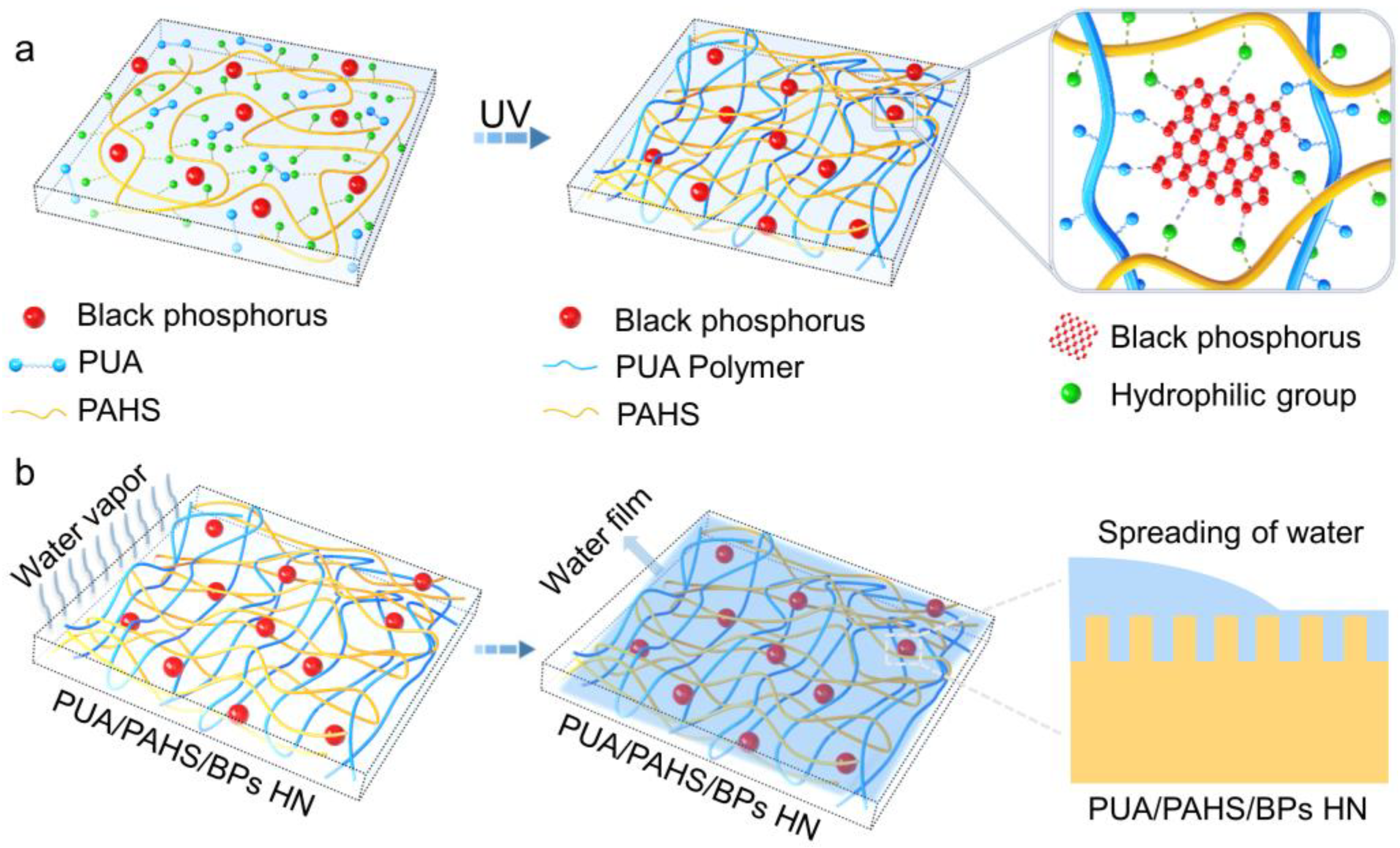 Nanomaterials 13 00086 g001