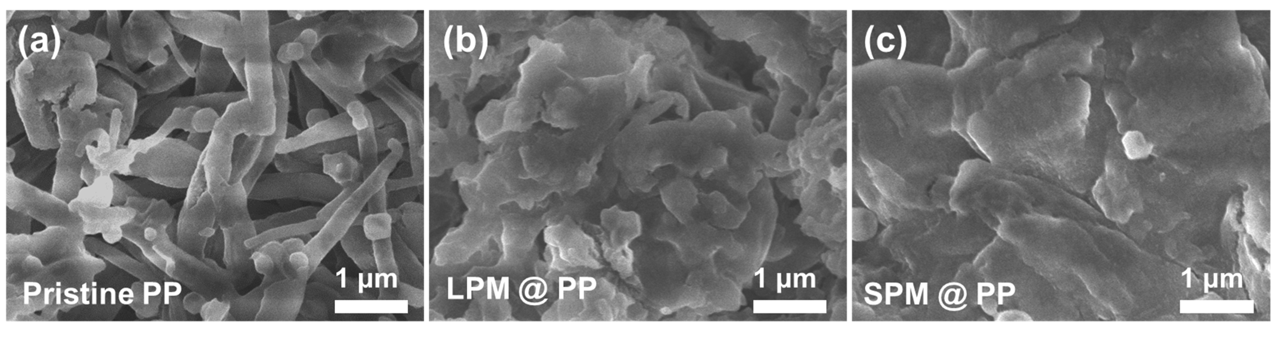 Nanomaterials 13 00090 g006