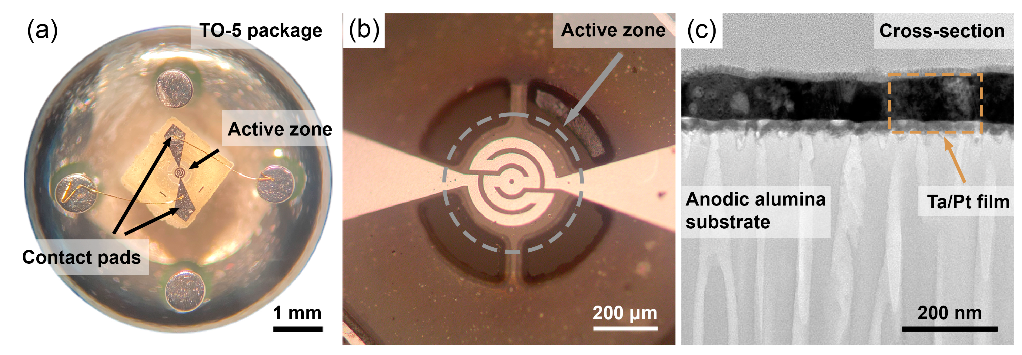 Nanomaterials 13 00094 g001
