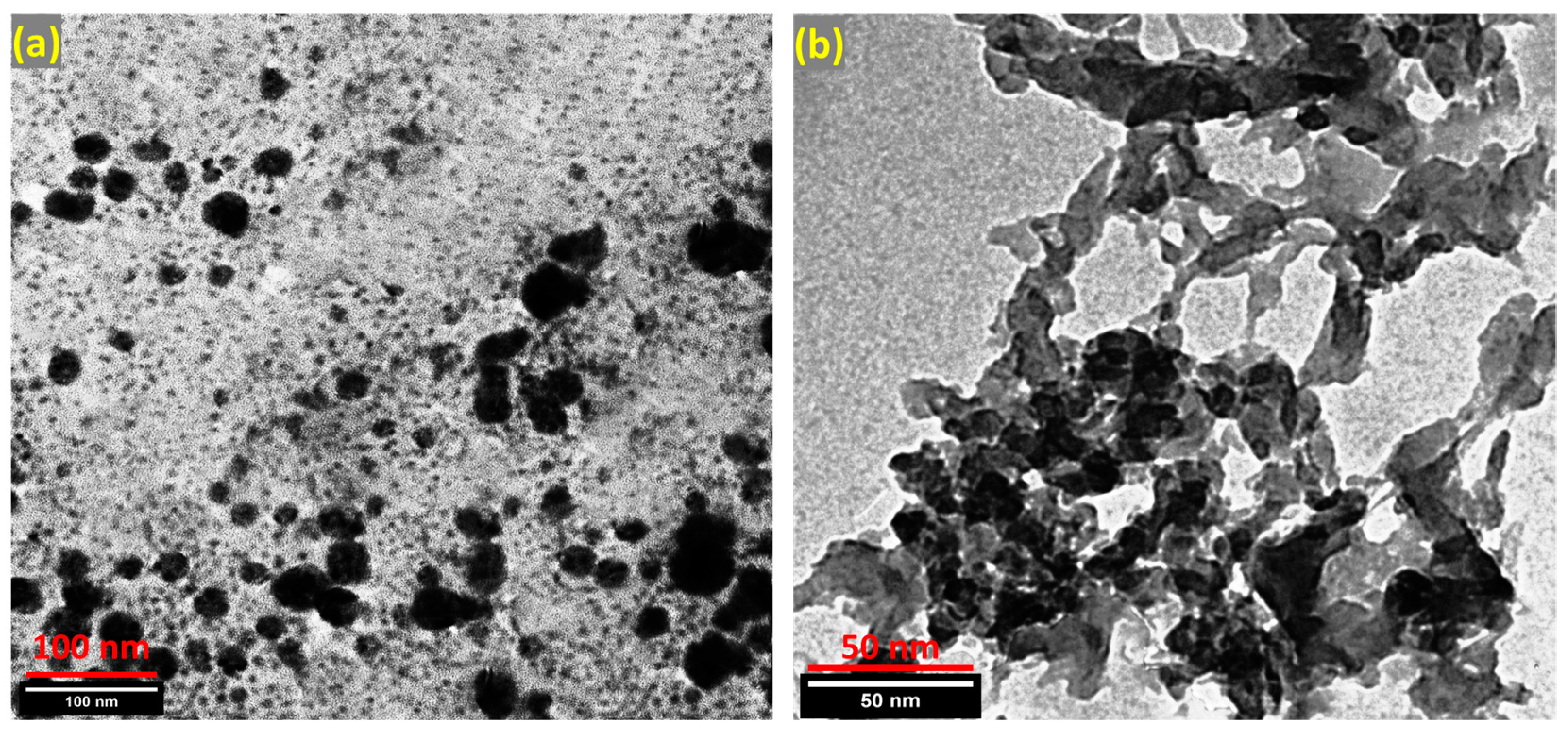 Nanomaterials 13 00097 g003