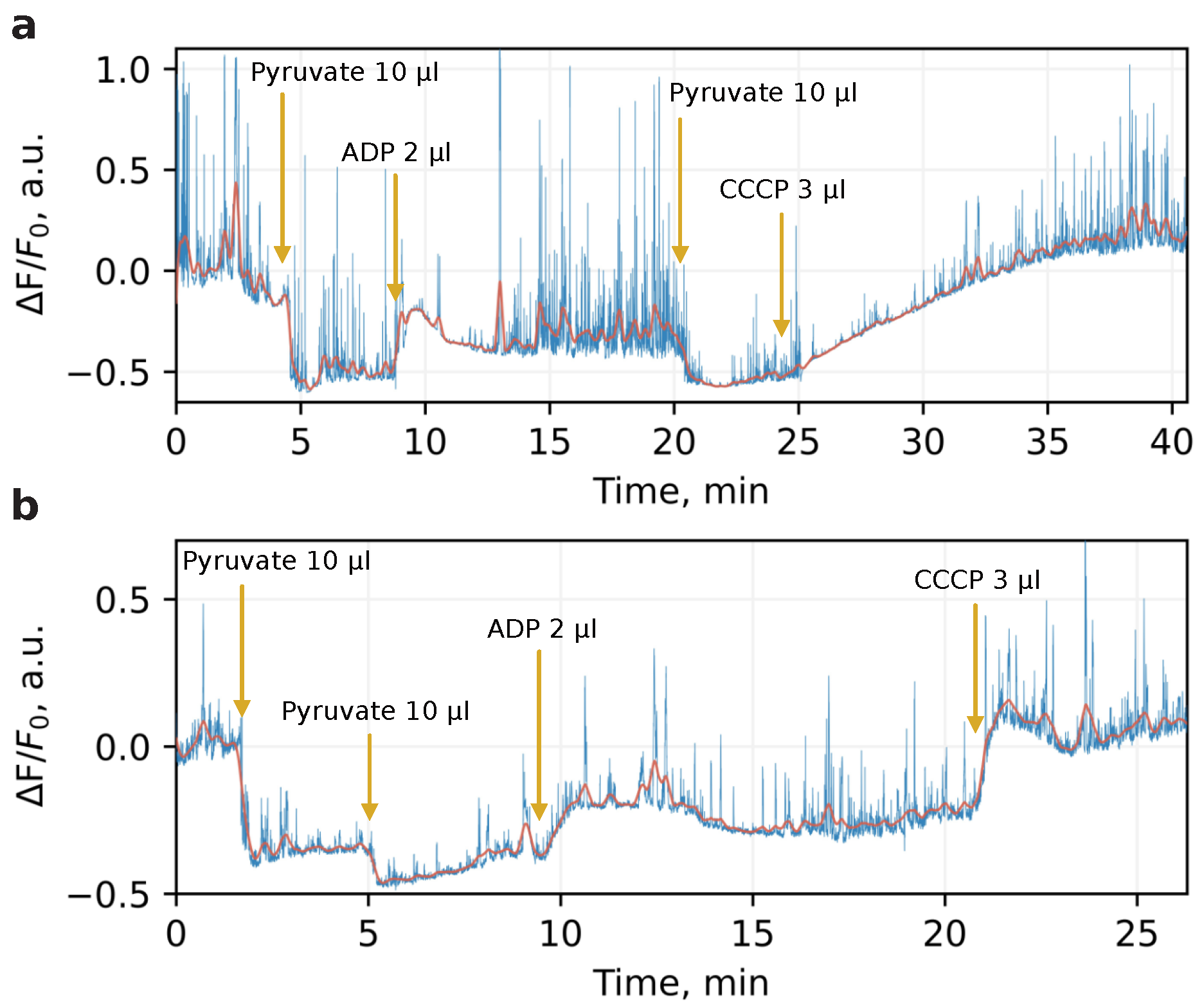 Nanomaterials 13 00098 g001