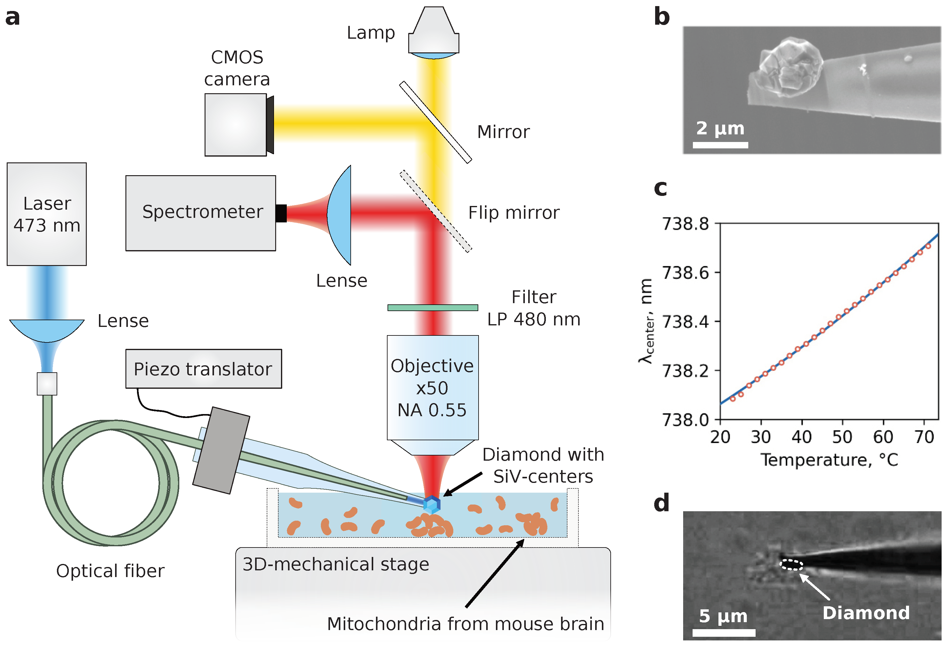 Nanomaterials 13 00098 g002