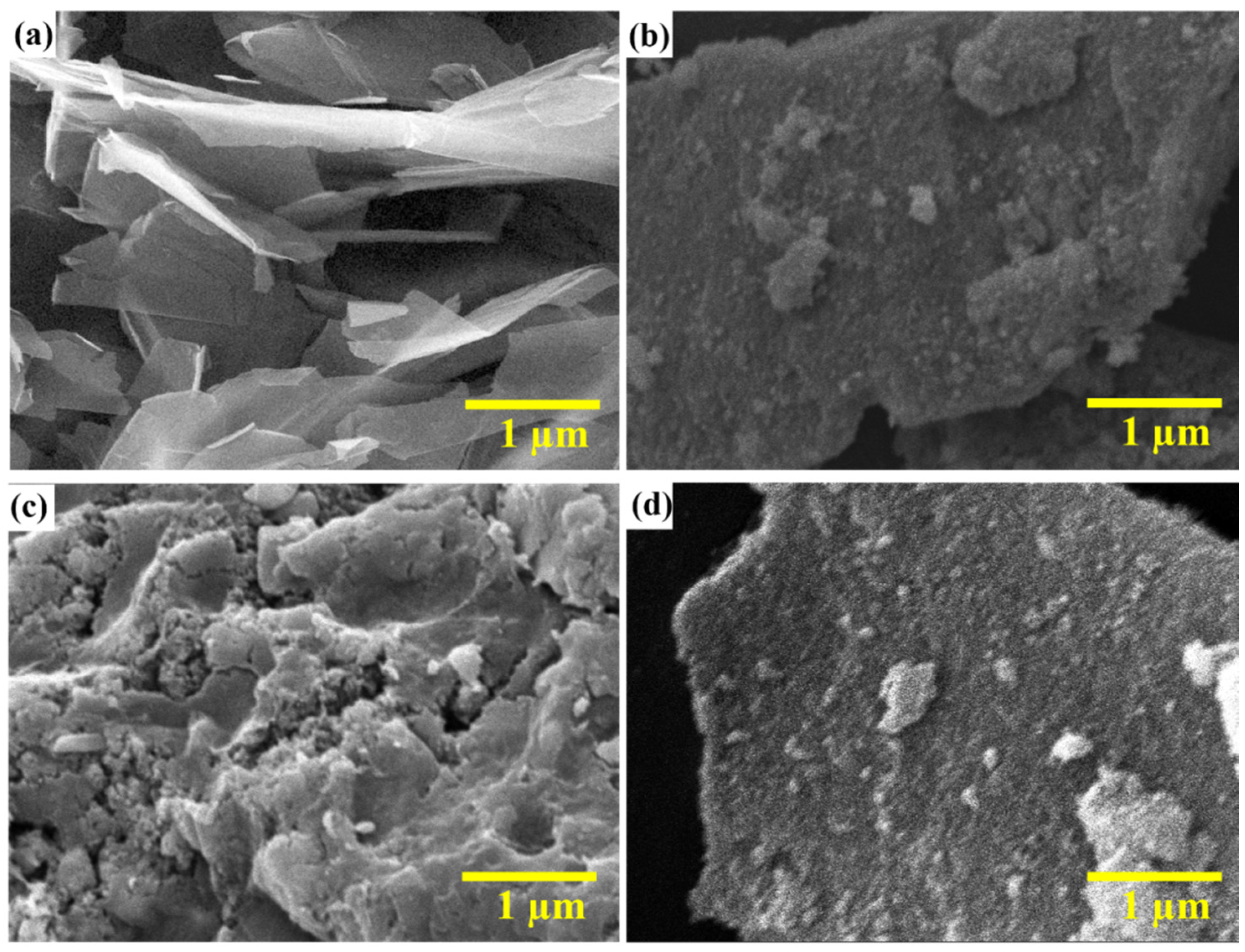 Nanomaterials 13 00099 g003