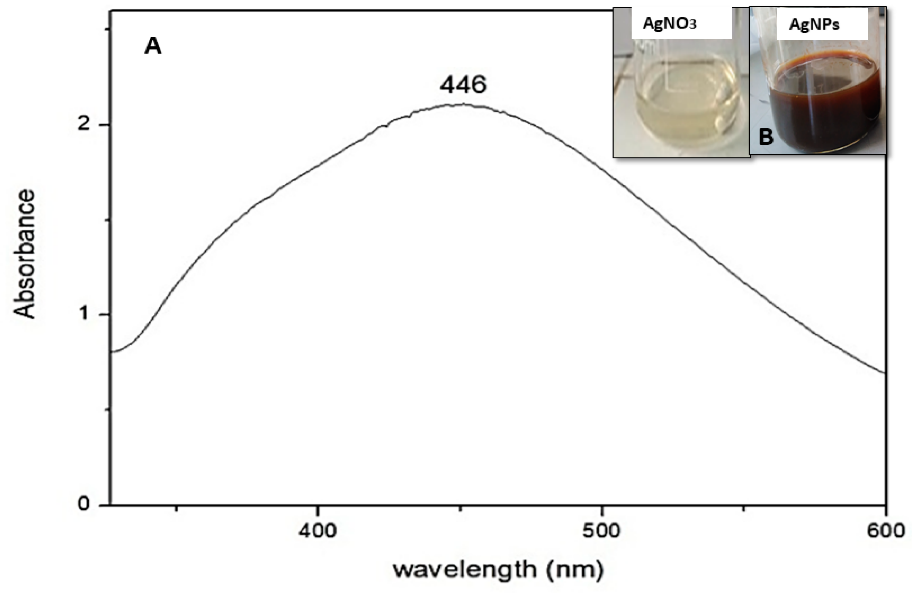 Nanomaterials 13 00100 g001