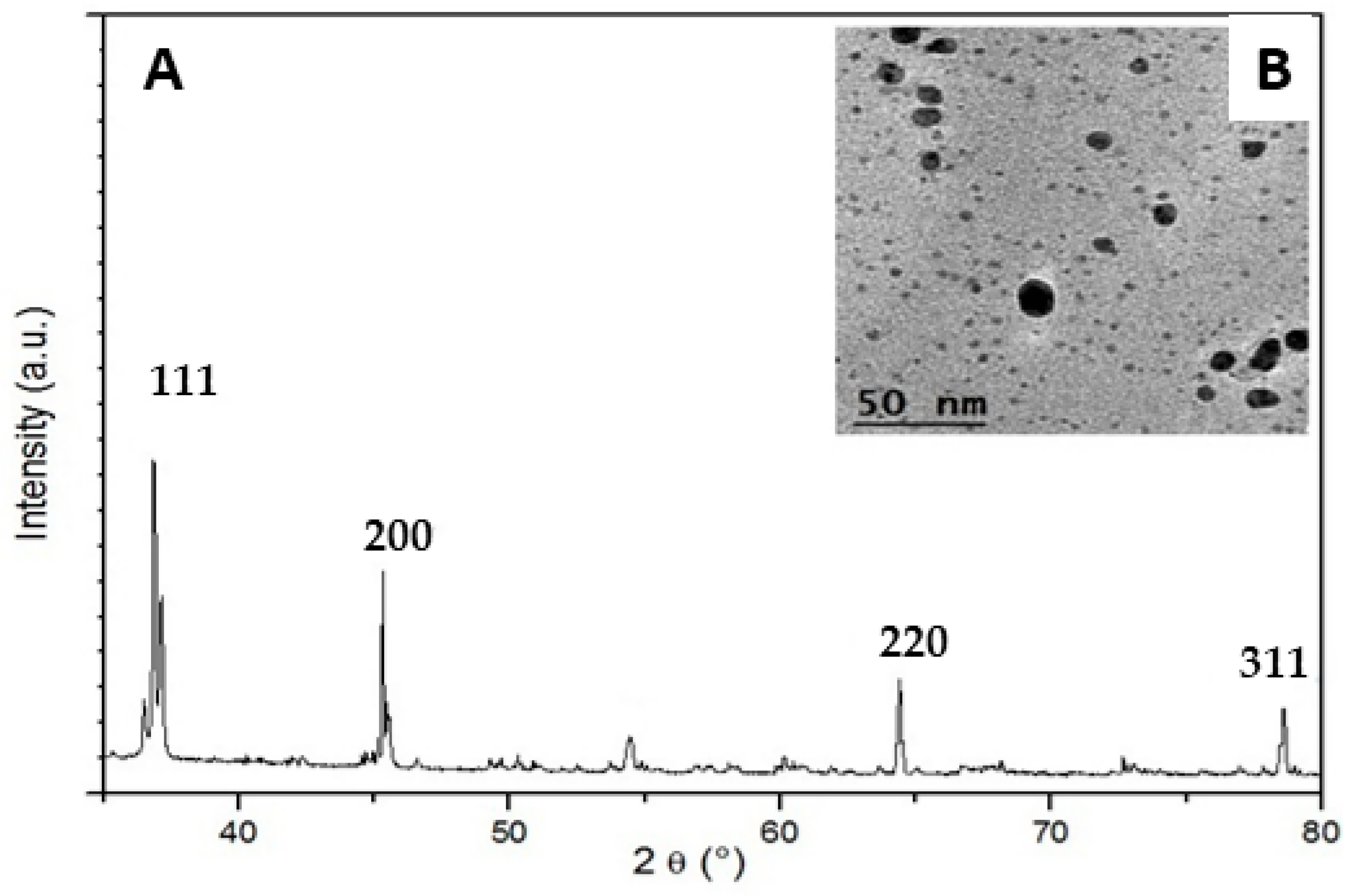 Nanomaterials 13 00100 g003