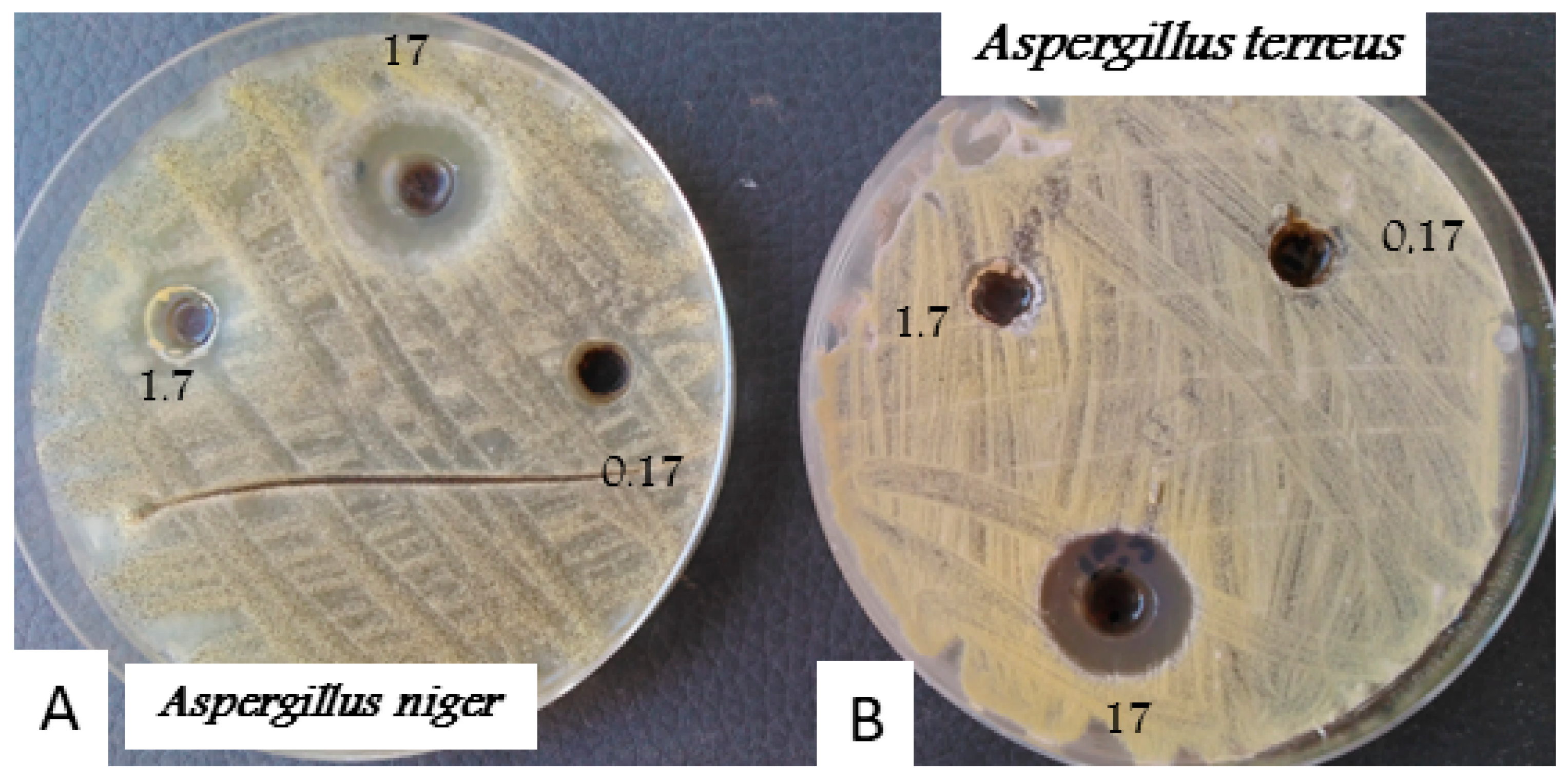 Nanomaterials 13 00100 g006