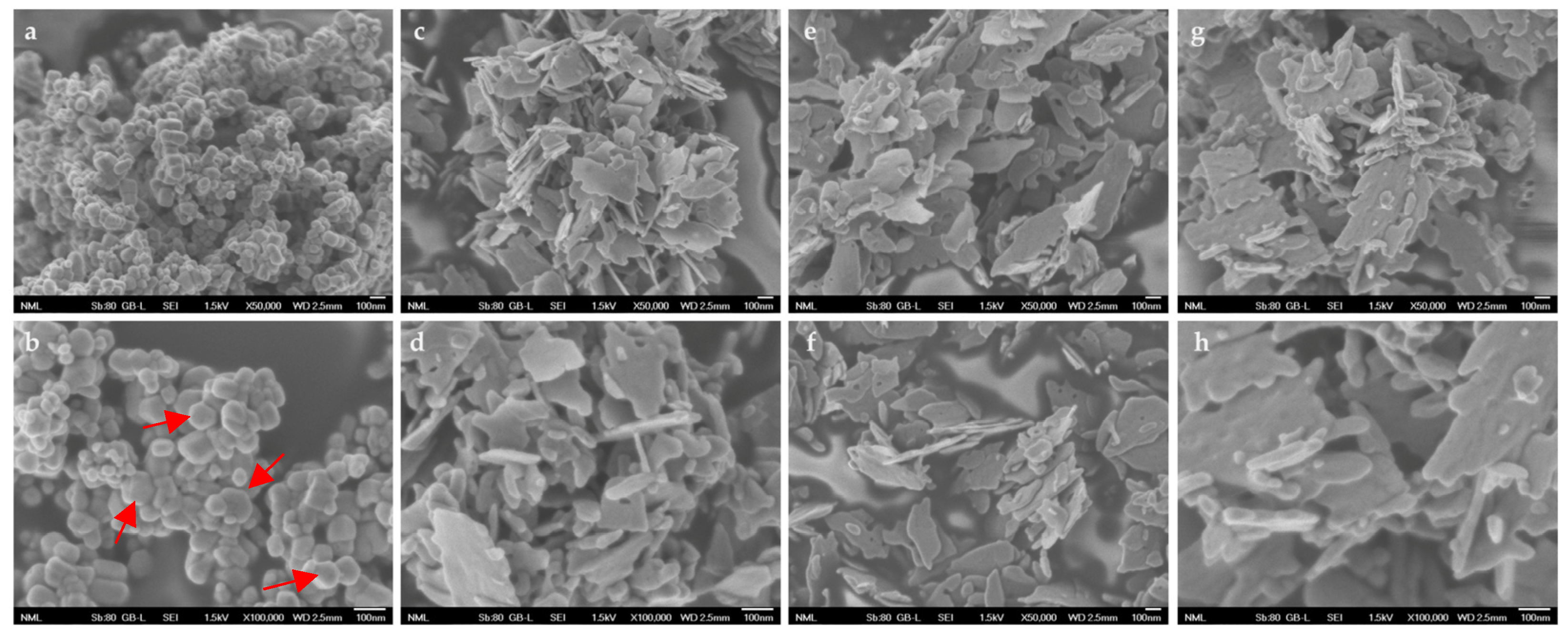 Nanomaterials 13 00122 g008