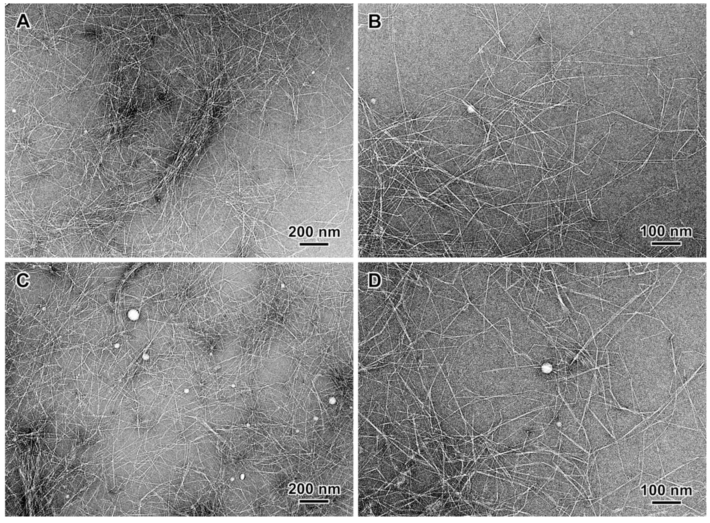 Nanomaterials 13 00126 g002