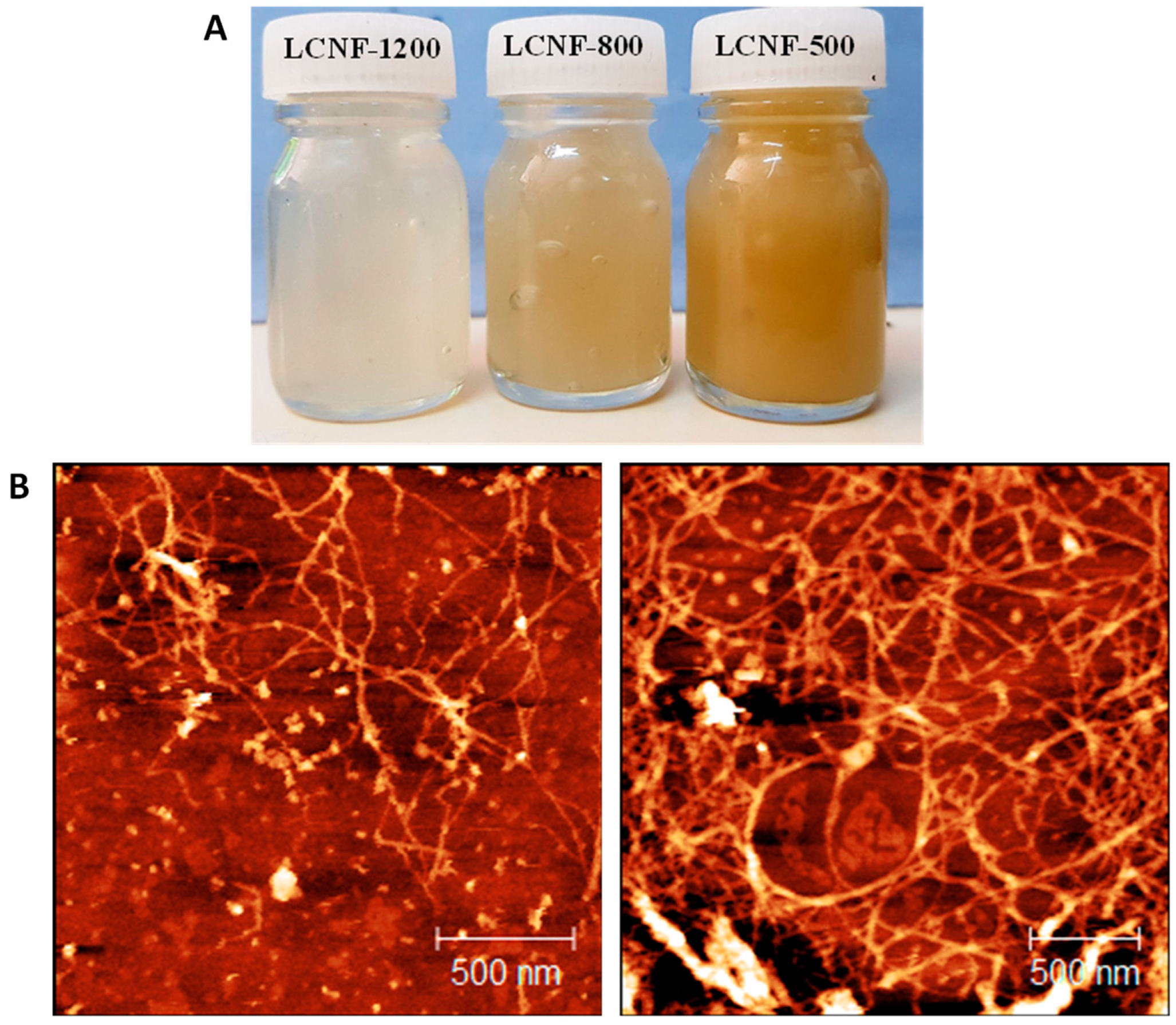 Nanomaterials 13 00126 g003