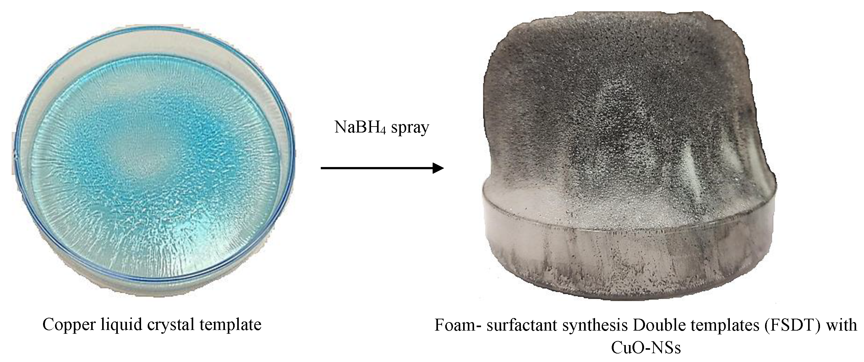 Nanomaterials 13 00129 sch001