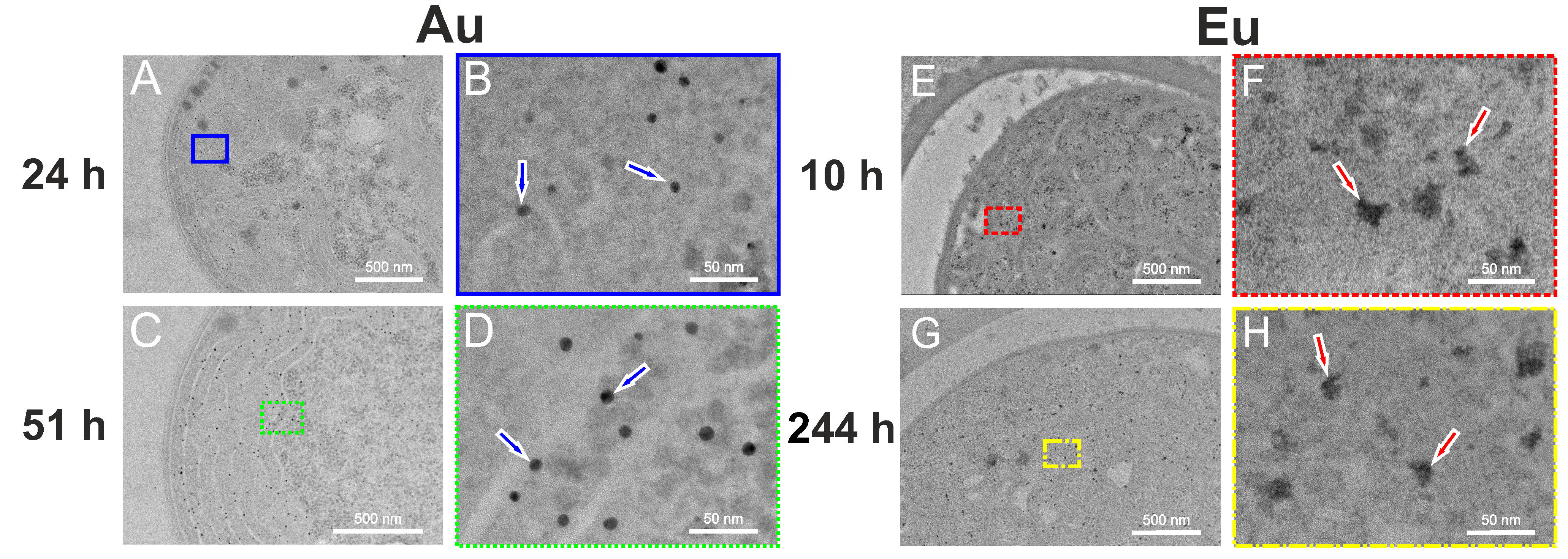 Nanomaterials 13 00130 g001 Nanomaterials 13 00130 g001