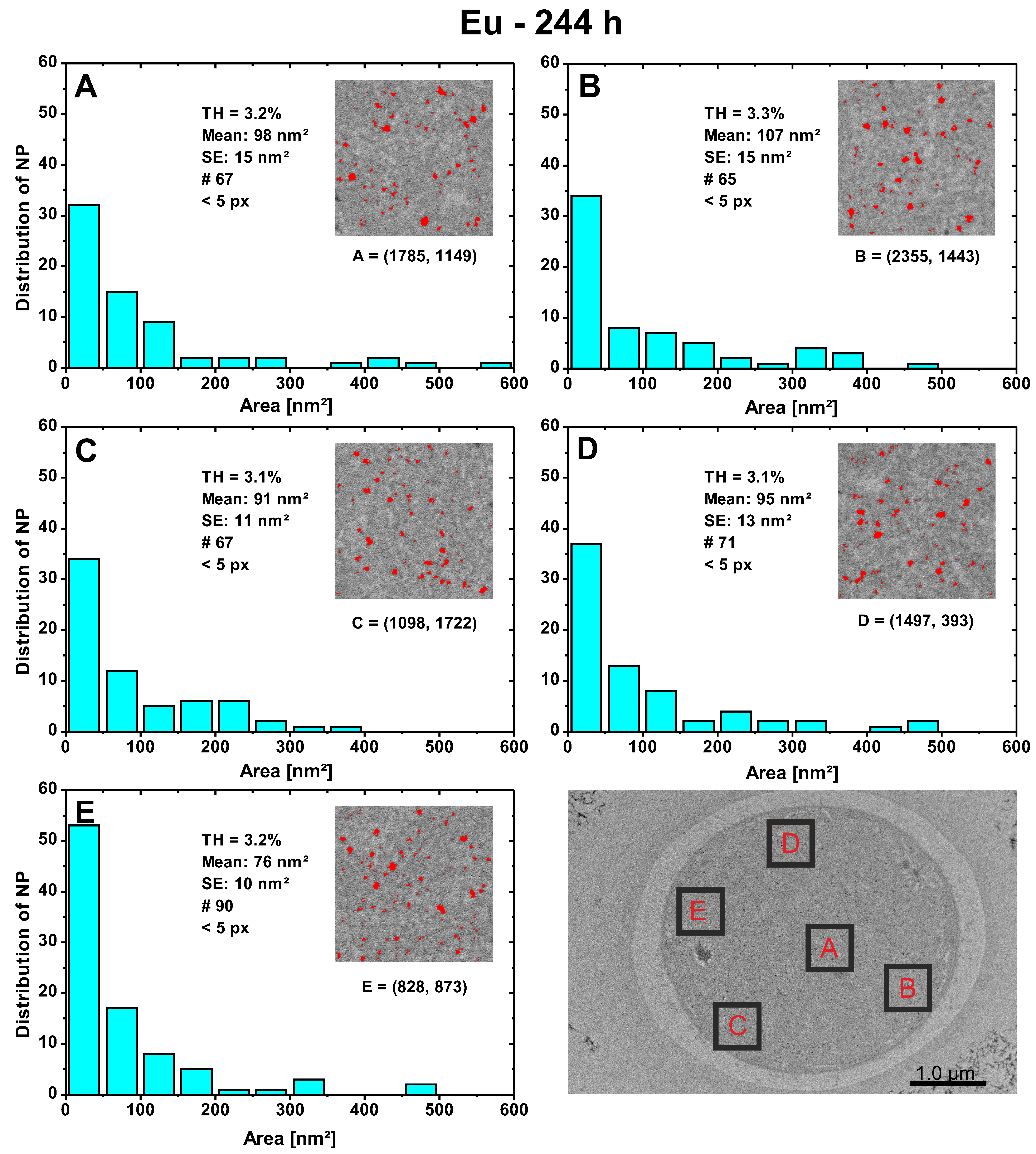 Nanomaterials 13 00130 g004 Nanomaterials 13 00130 g004