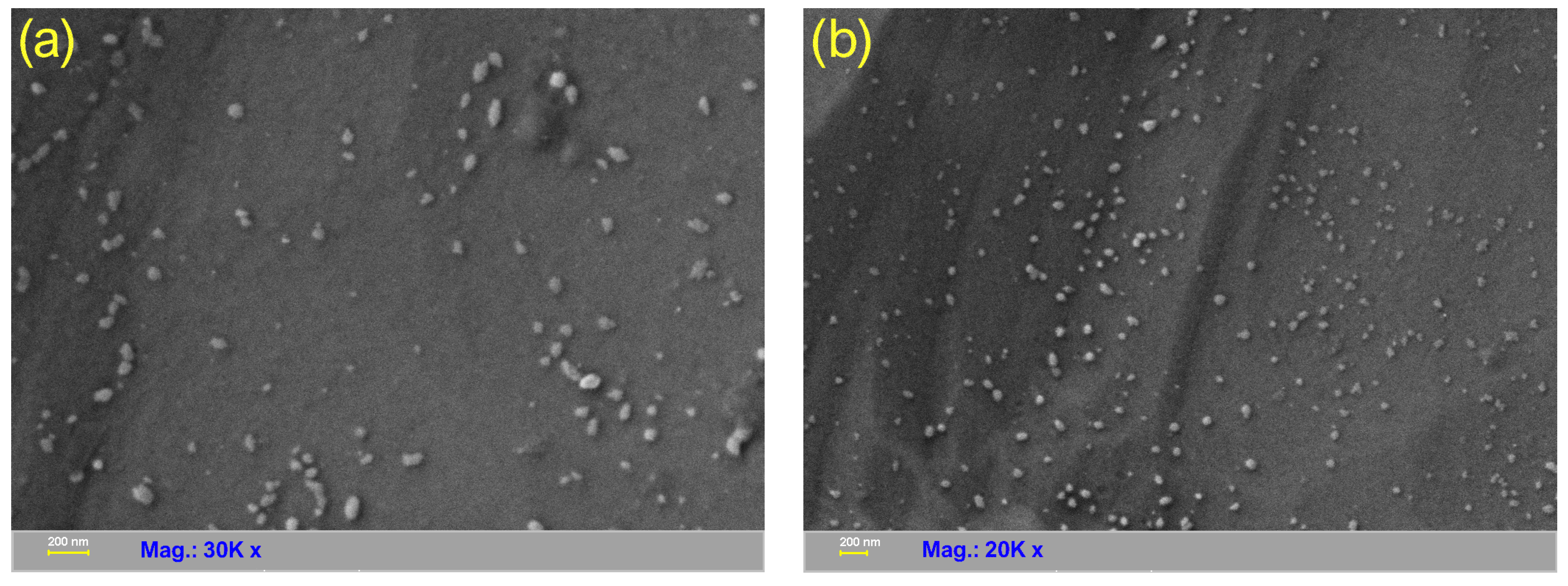Nanomaterials 13 00131 g007 Nanomaterials 13 00131 g007