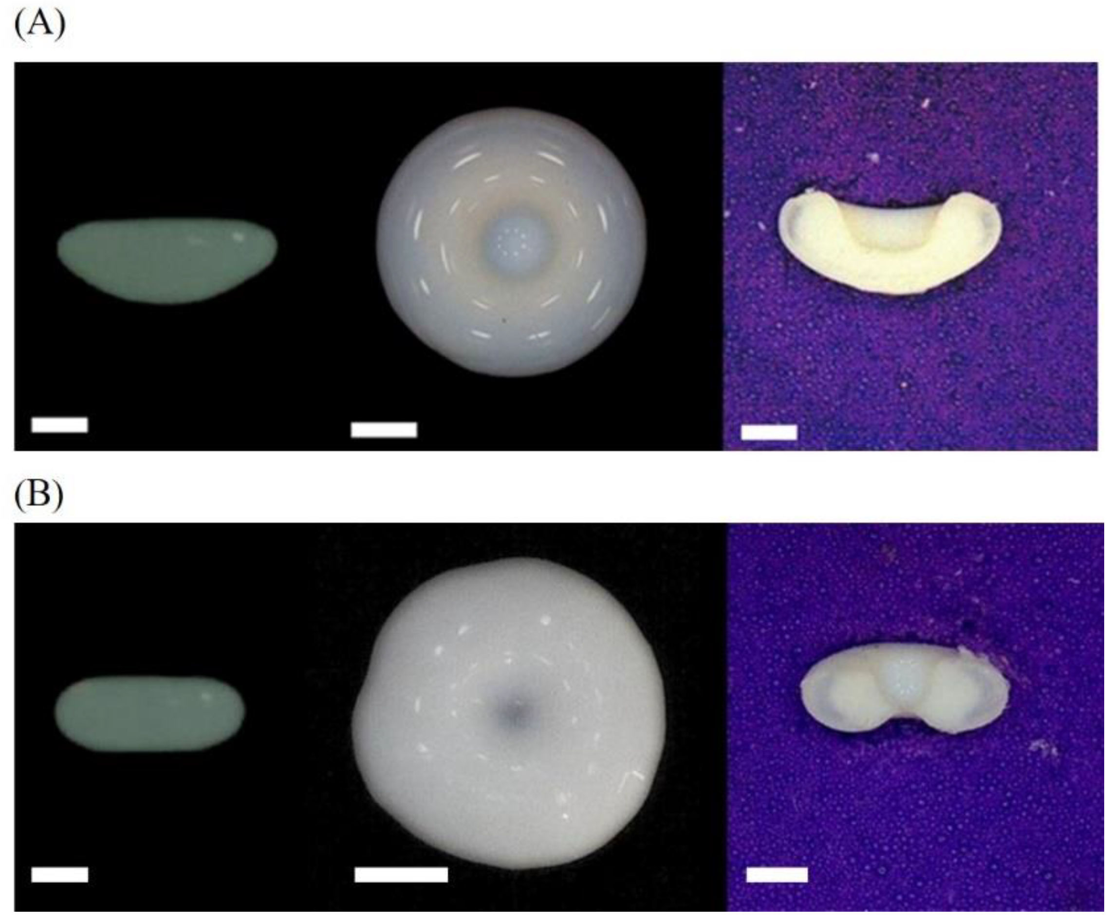 Nanomaterials 13 00133 g004 Nanomaterials 13 00133 g004