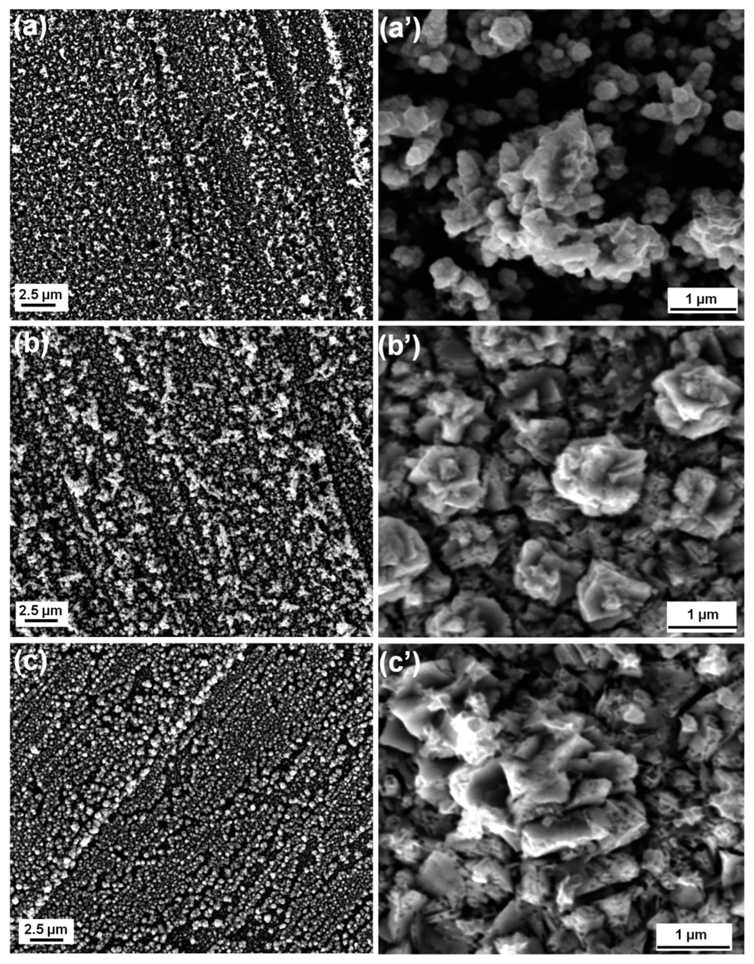 Nanomaterials 13 00135 g002