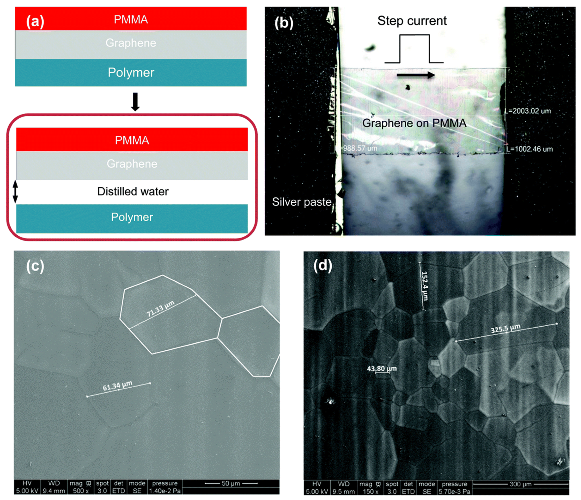 Nanomaterials 13 00140 g003