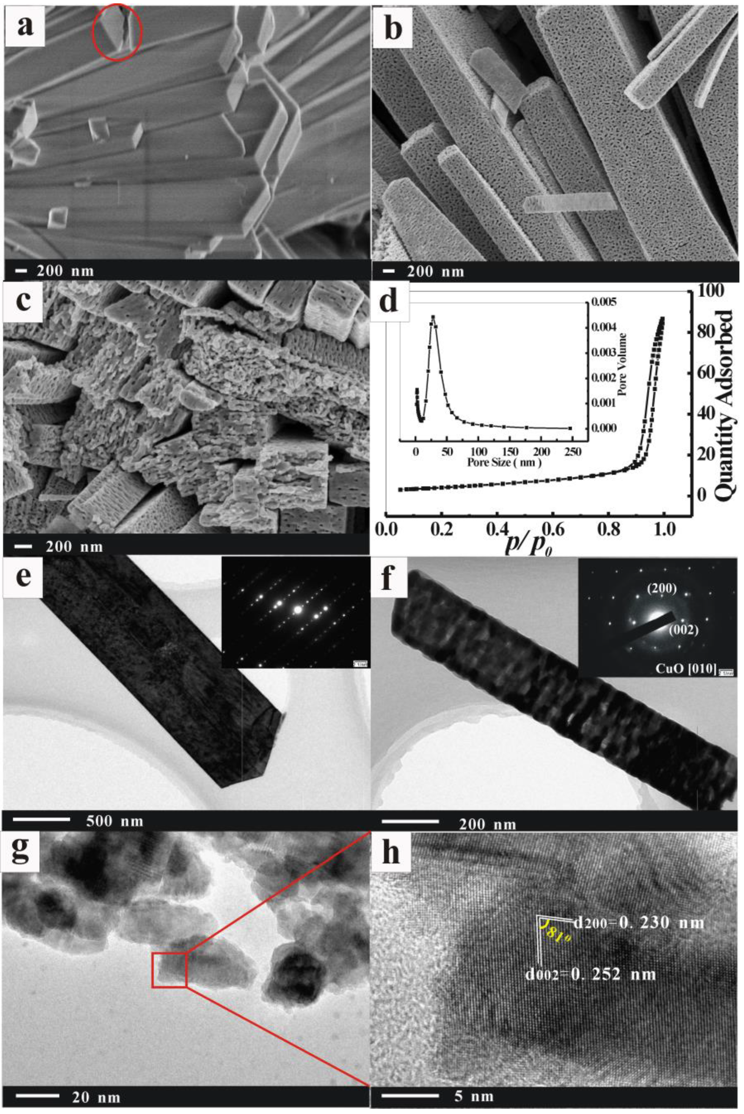 Nanomaterials 13 00142 g002