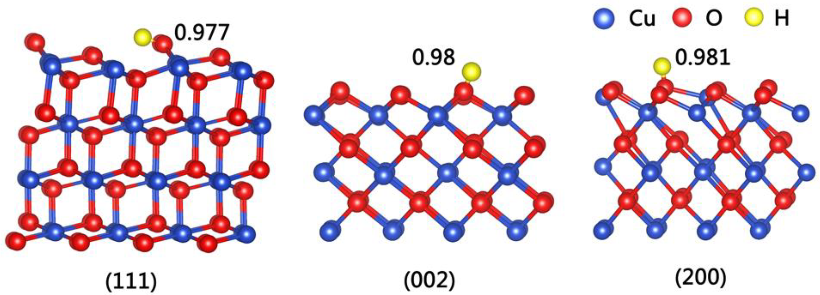 Nanomaterials 13 00142 g003