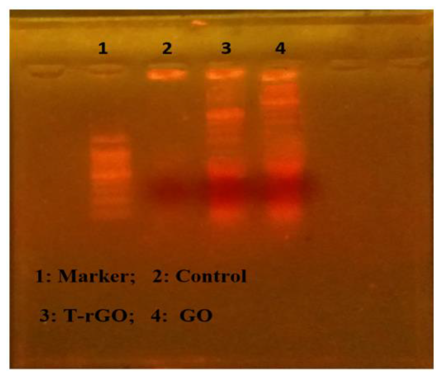 Nanomaterials 13 00149 g011