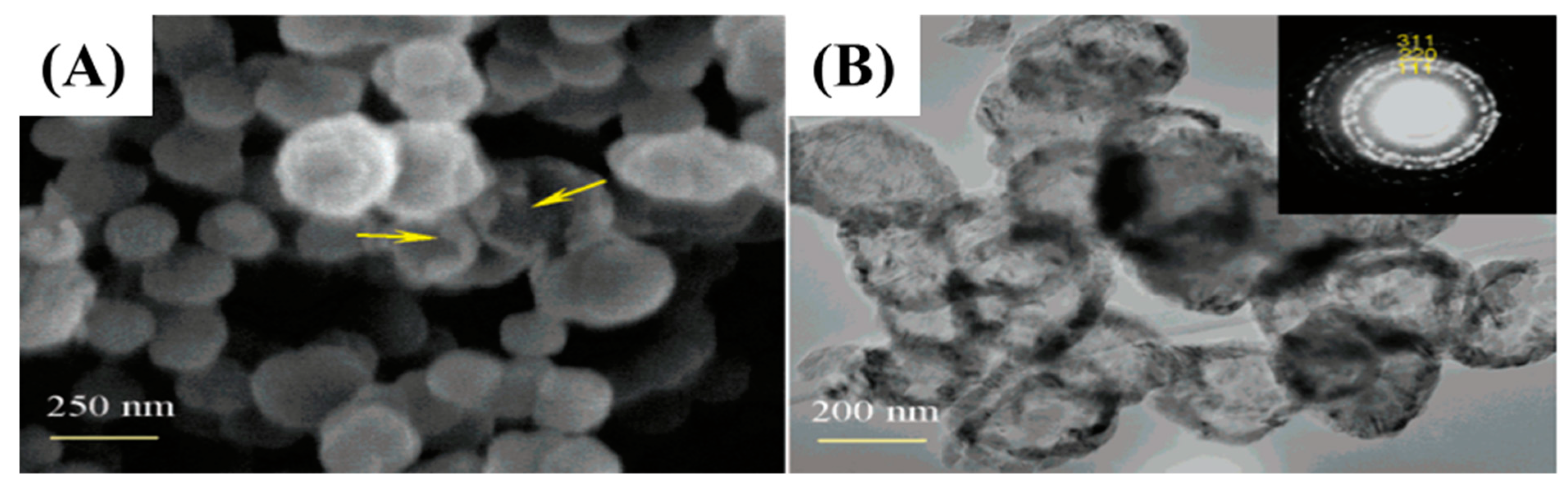 Nanomaterials 13 00150 g004