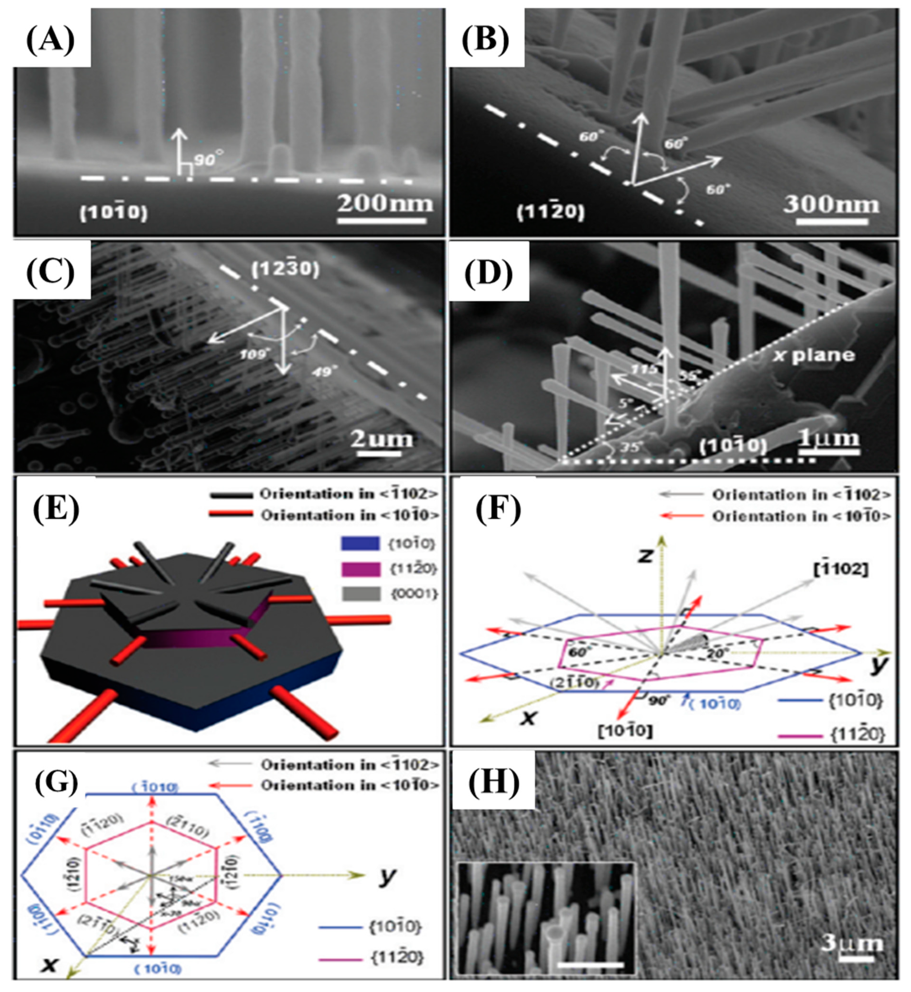 Nanomaterials 13 00150 g006