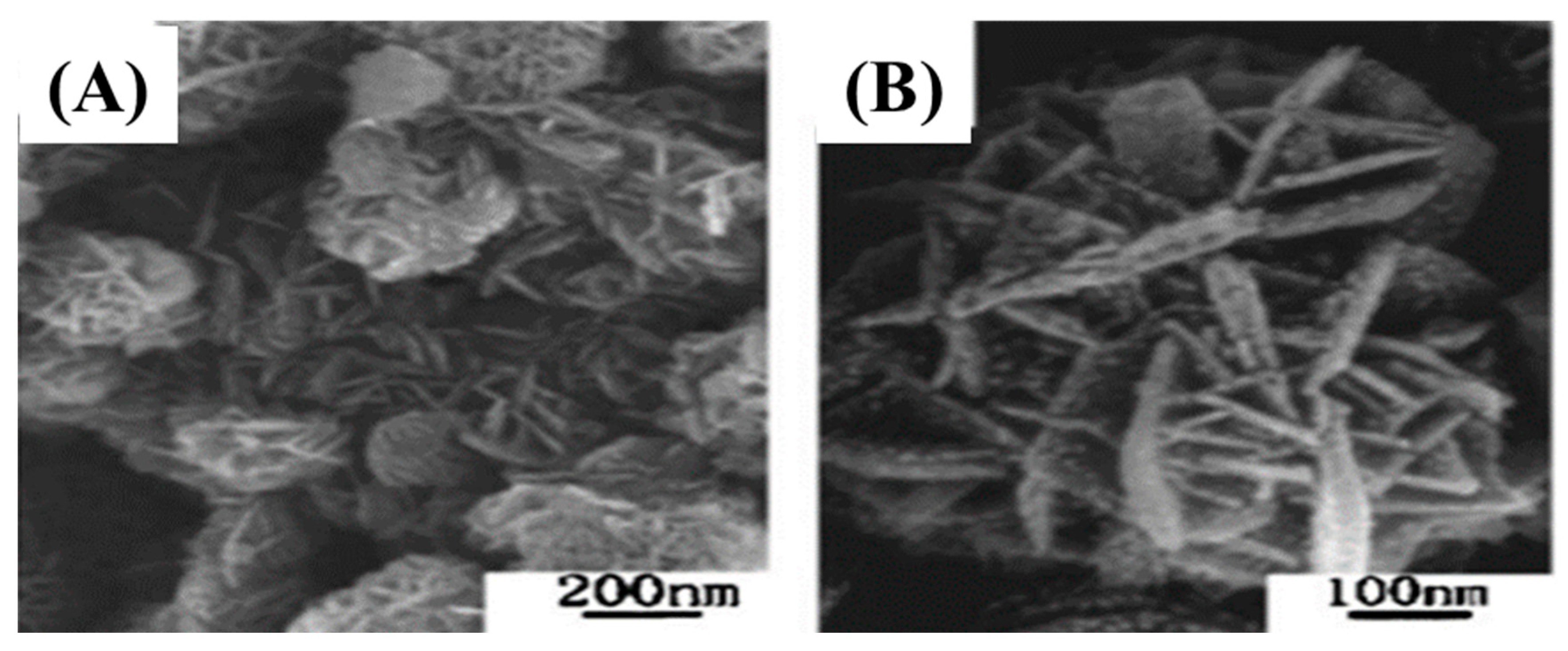 Nanomaterials 13 00150 g008