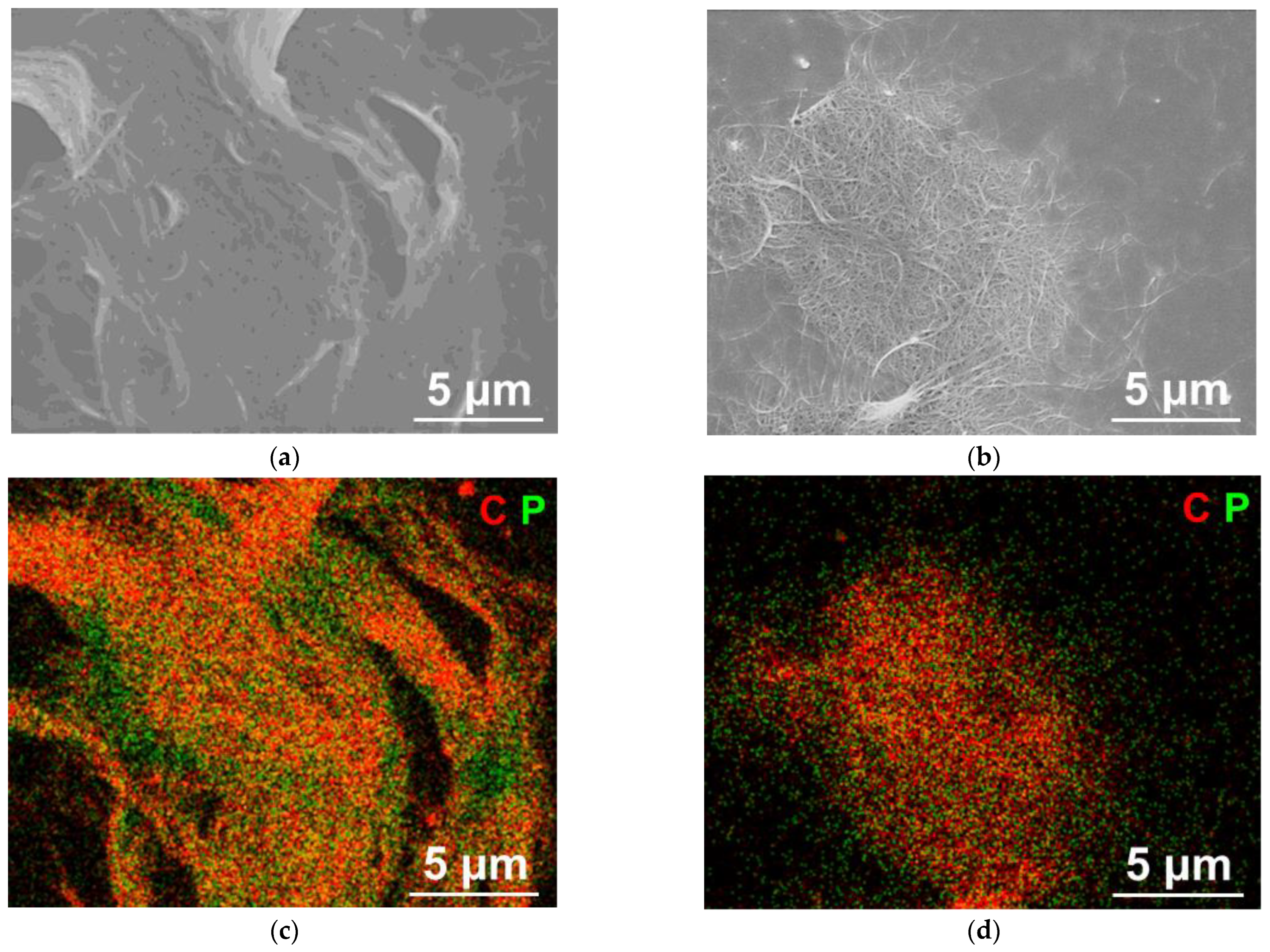 Nanomaterials 13 00153 g002