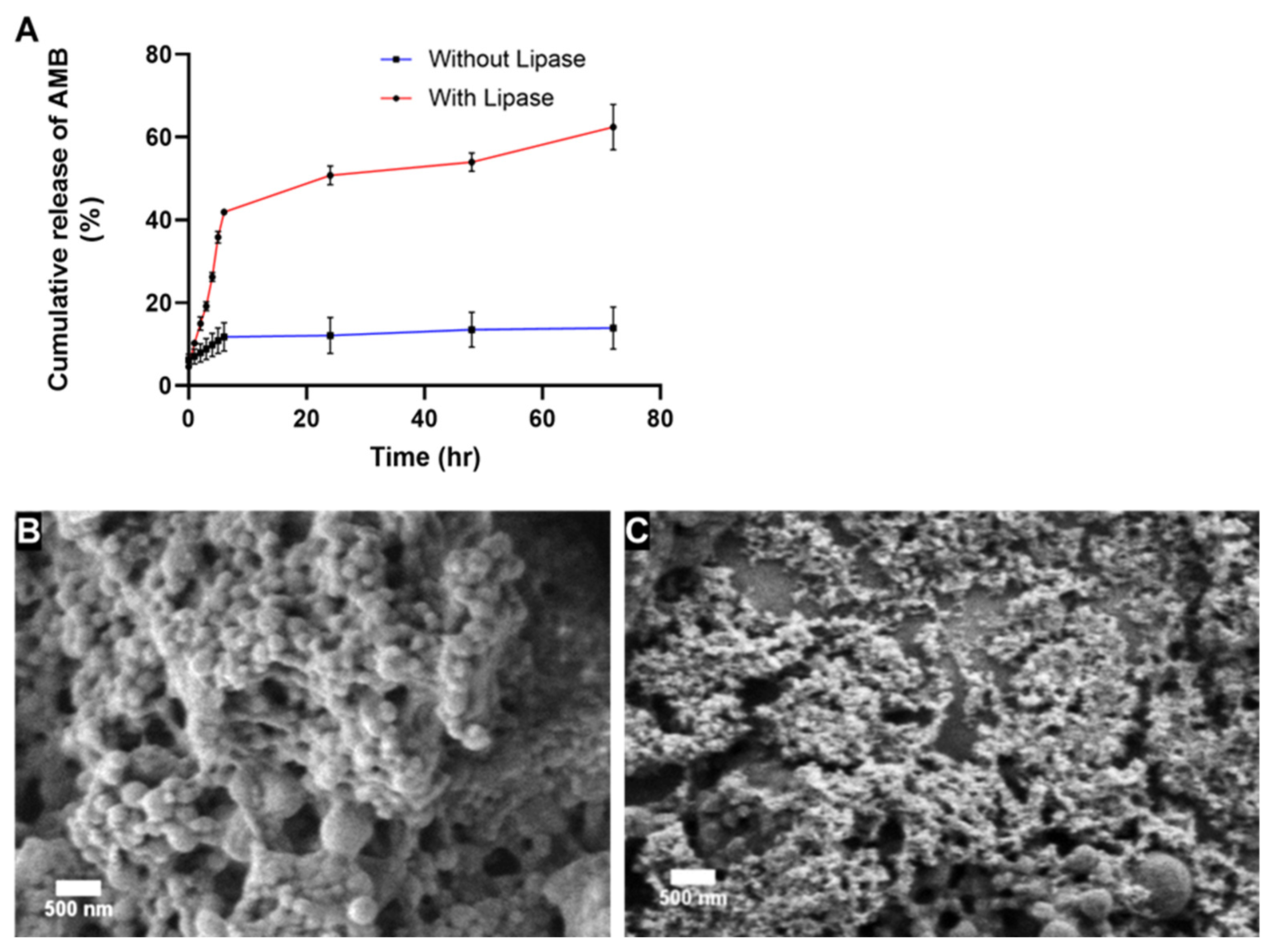 Nanomaterials 13 00155 g004